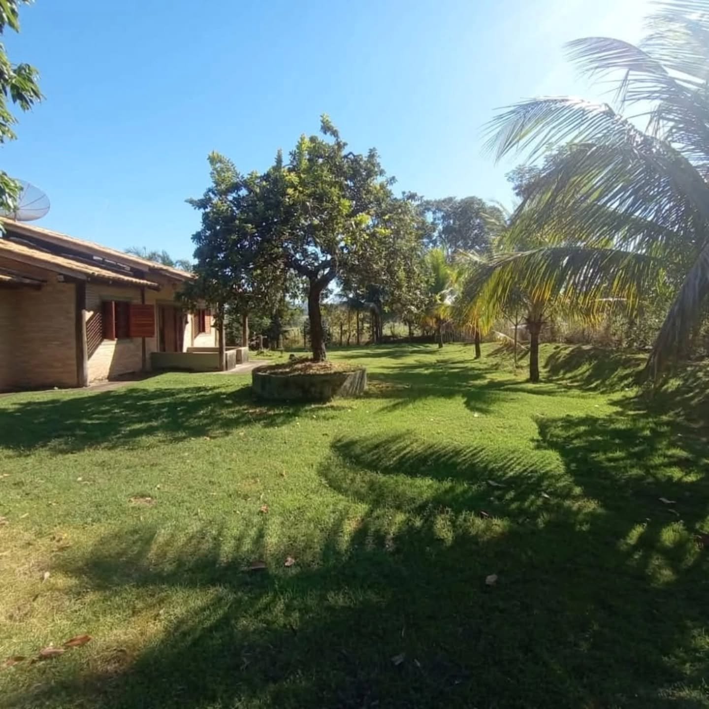 Chácara à Venda em Anhanguera – GO | Anhanguera-GO | 0,5 hectares - Anhanguera-GO