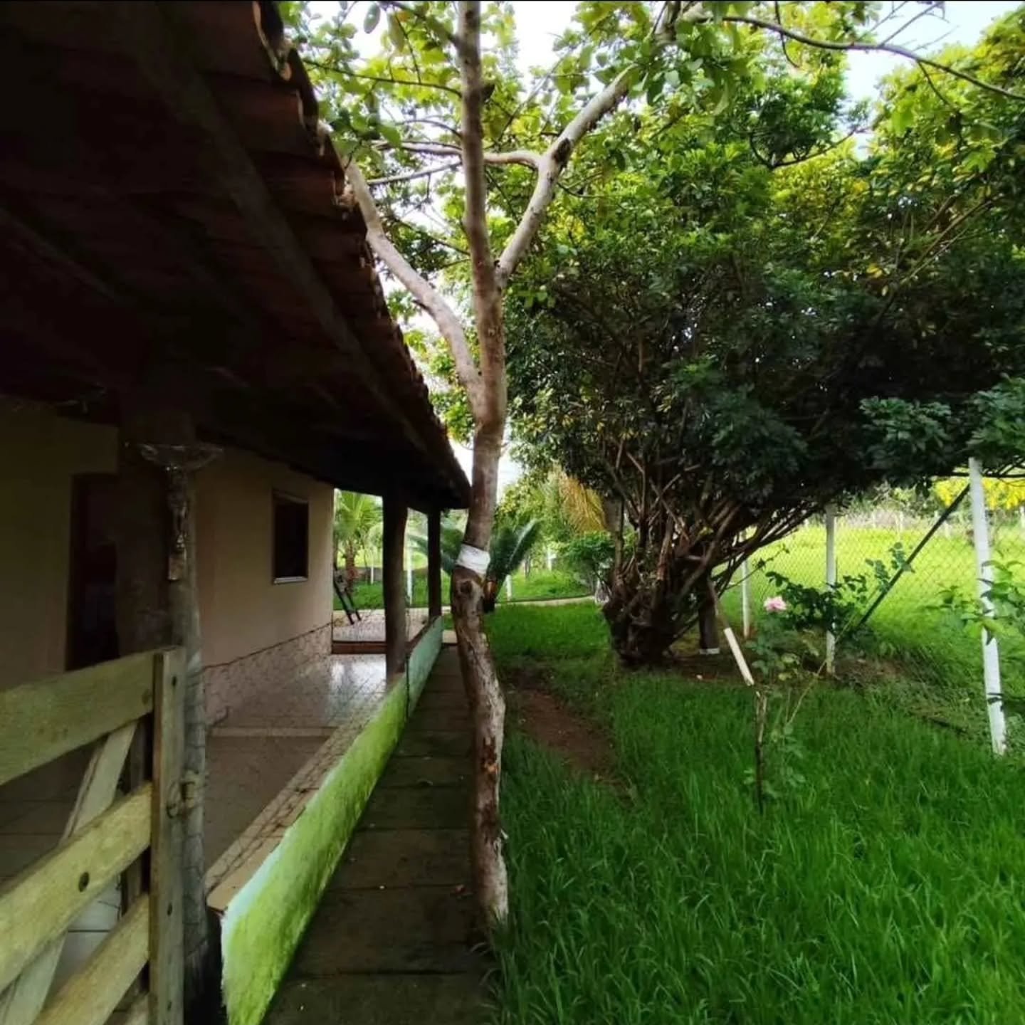 CHÁCARA À VENDA A APENAS 6 KM DE CATALÃO/GO | Catalão-GO | 0,4762 hectares - Catalão-GO