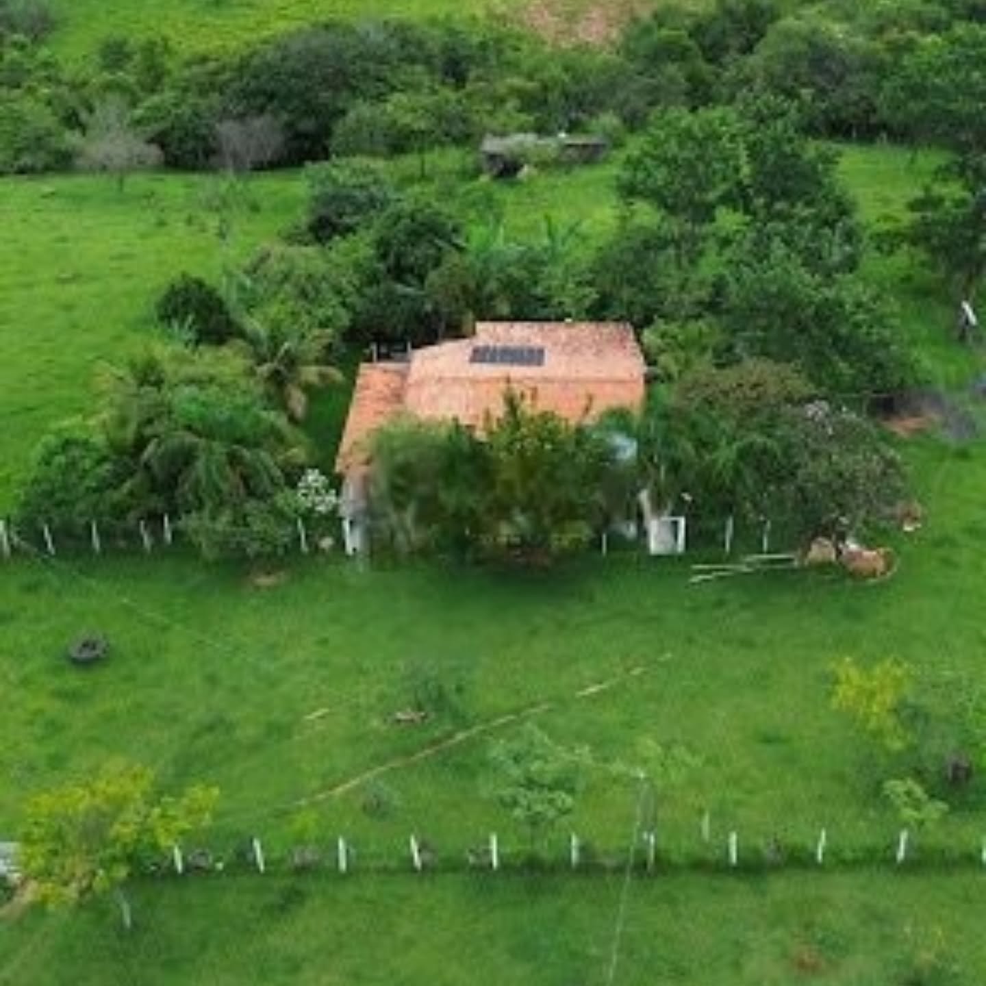 CHÁCARA À VENDA A APENAS 6 KM DE CATALÃO/GO | Catalão-GO | 0,4762 hectares - Catalão-GO