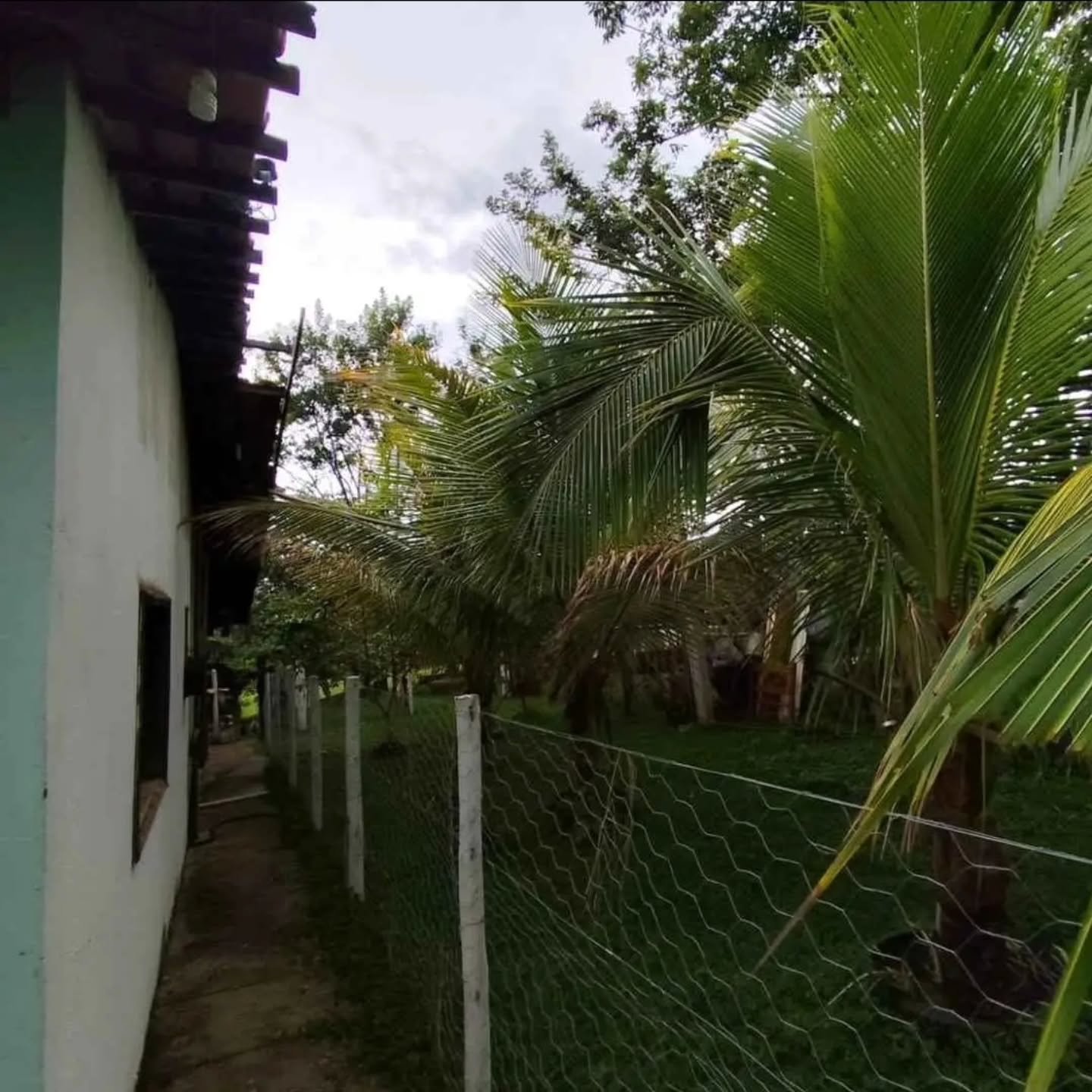 CHÁCARA À VENDA A APENAS 6 KM DE CATALÃO/GO | Catalão-GO | 0,4762 hectares - Catalão-GO