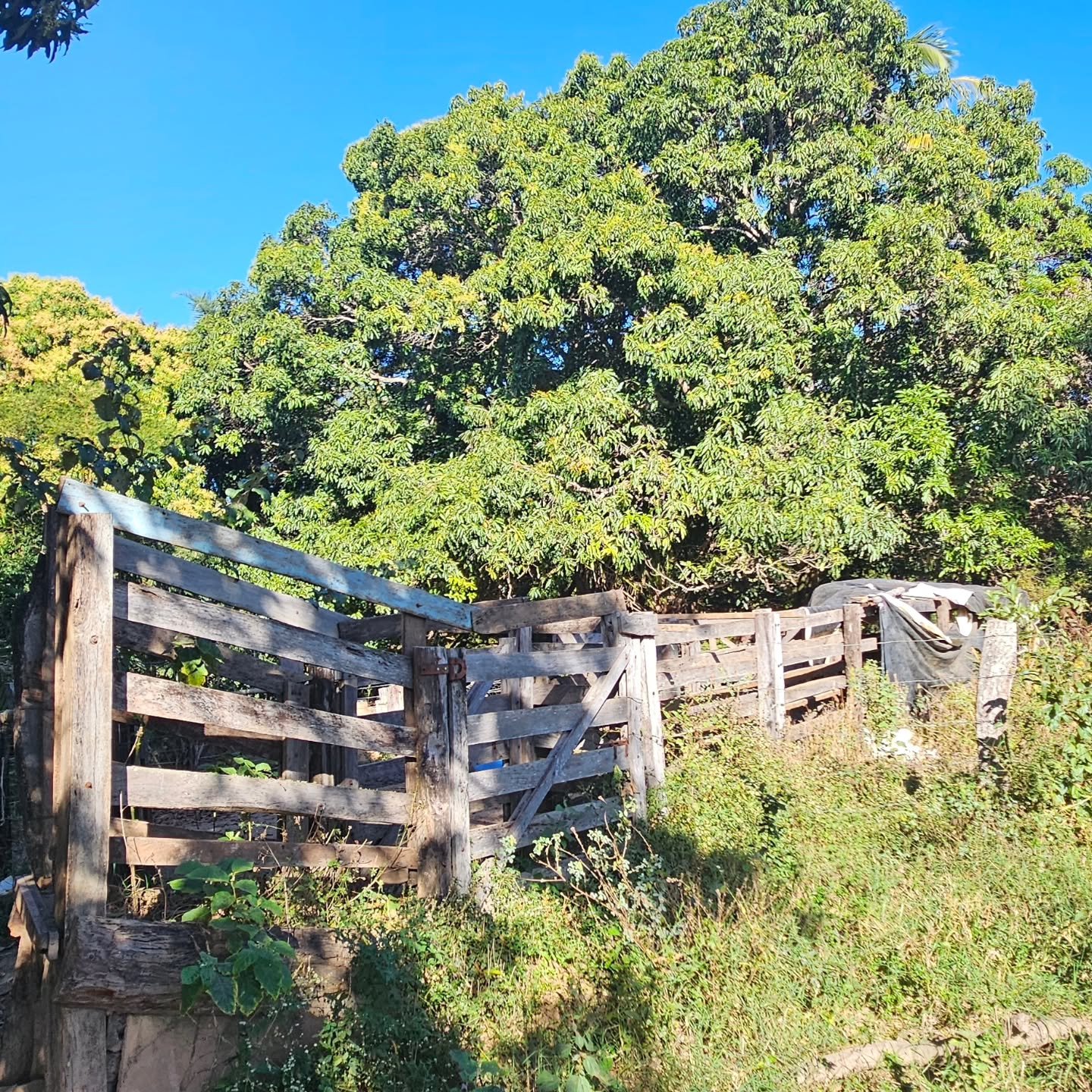 CHÁCARA À VENDA – CATALÃO/GO | Catalão-GO | 24,2 hectares - Catalão-GO