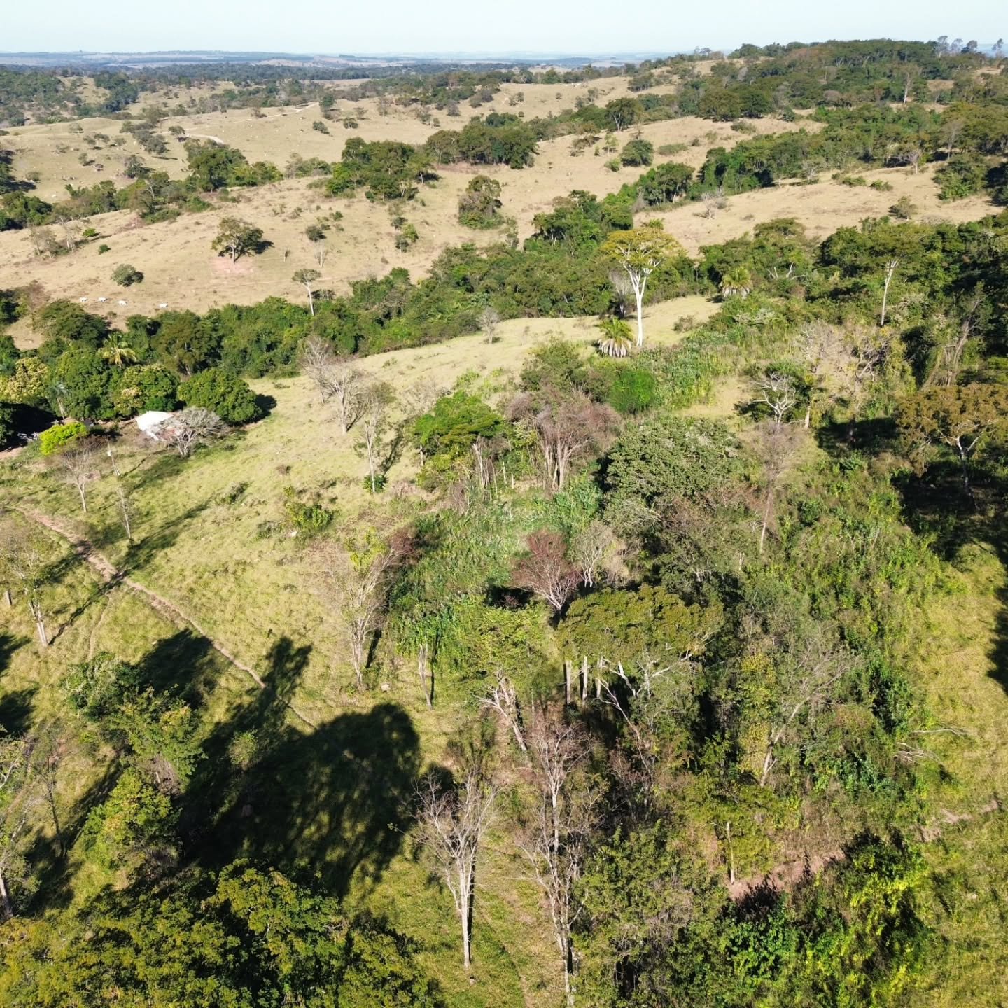 CHÁCARA À VENDA – CATALÃO/GO | Catalão-GO | 24,2 hectares - Catalão-GO