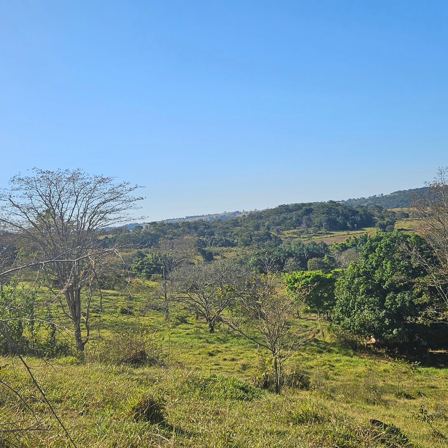 CHÁCARA À VENDA – CATALÃO/GO | Catalão-GO | 24,2 hectares - Catalão-GO