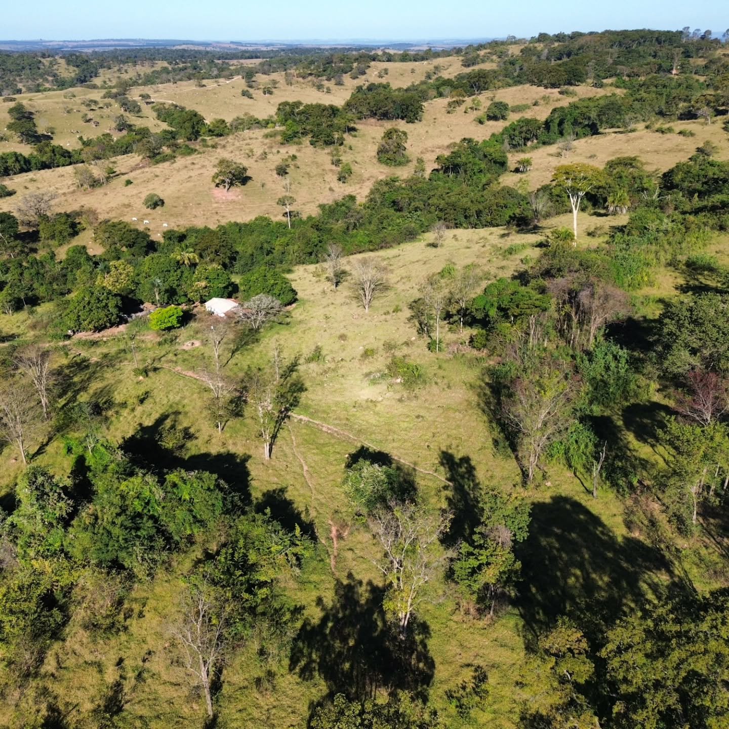 CHÁCARA À VENDA – CATALÃO/GO | Catalão-GO | 24,2 hectares - Catalão-GO