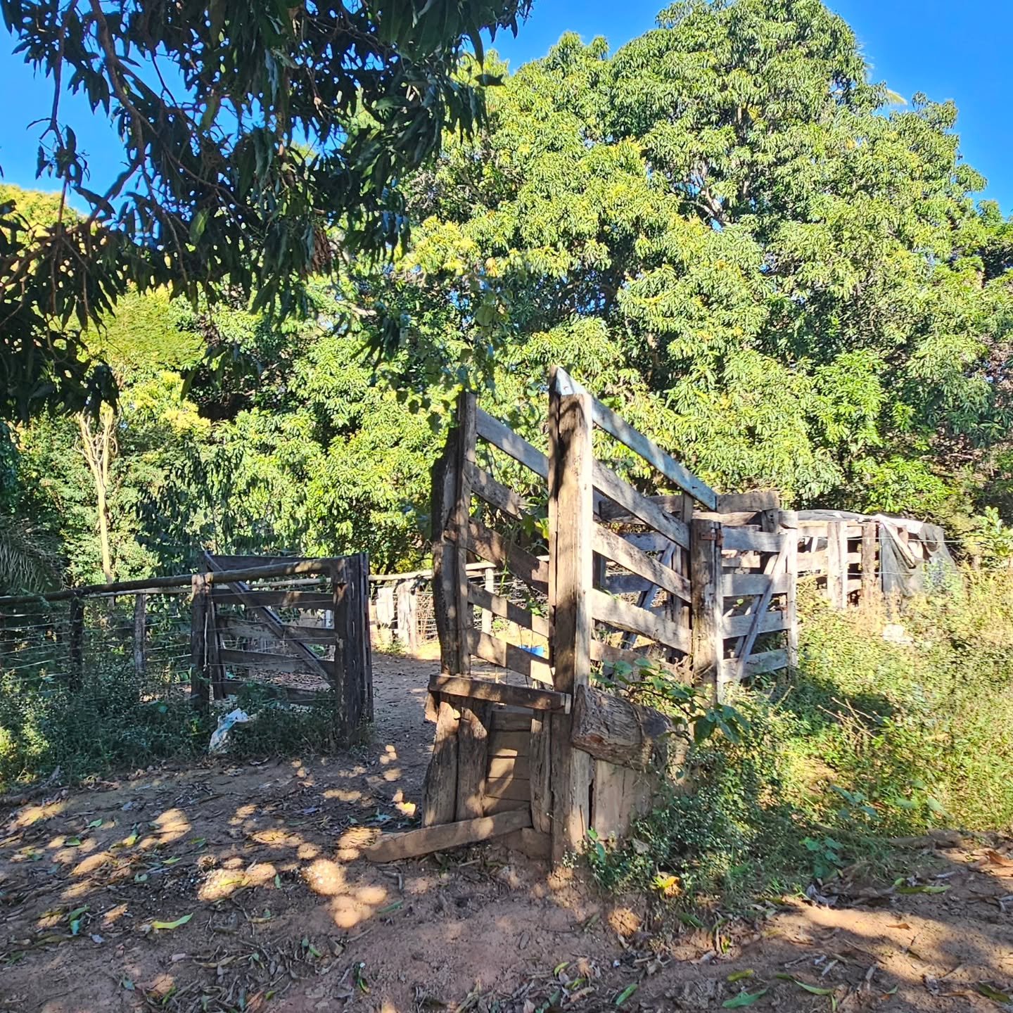 CHÁCARA À VENDA – CATALÃO/GO | Catalão-GO | 24,2 hectares - Catalão-GO