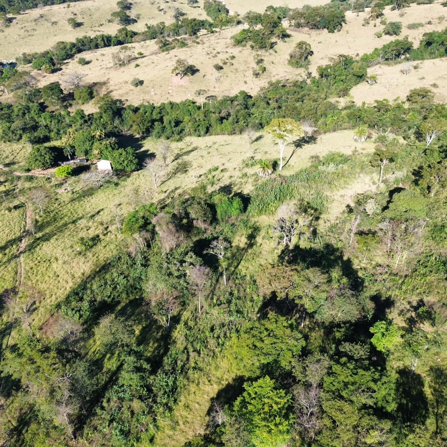 CHÁCARA À VENDA – CATALÃO/GO | Catalão-GO | 24,2 hectares - Catalão-GO