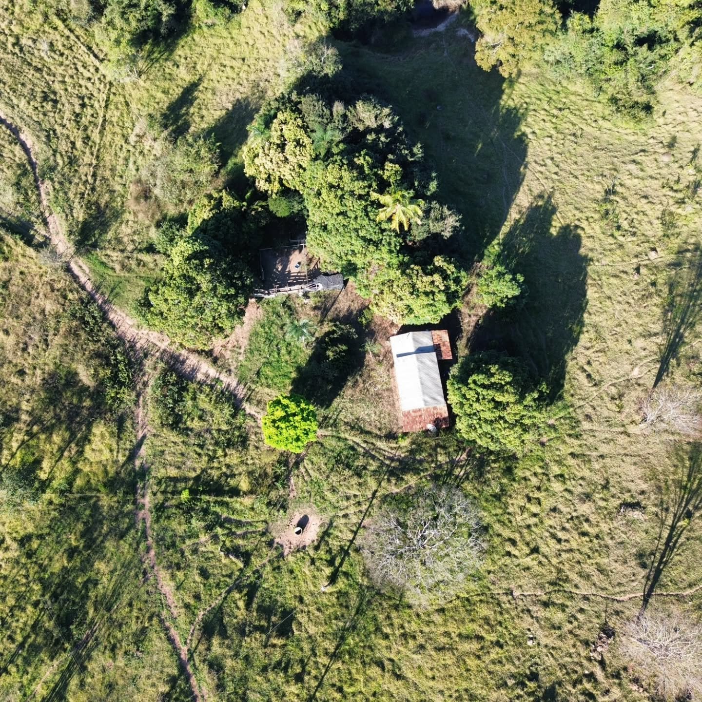 CHÁCARA À VENDA – CATALÃO/GO | Catalão-GO | 24,2 hectares - Catalão-GO