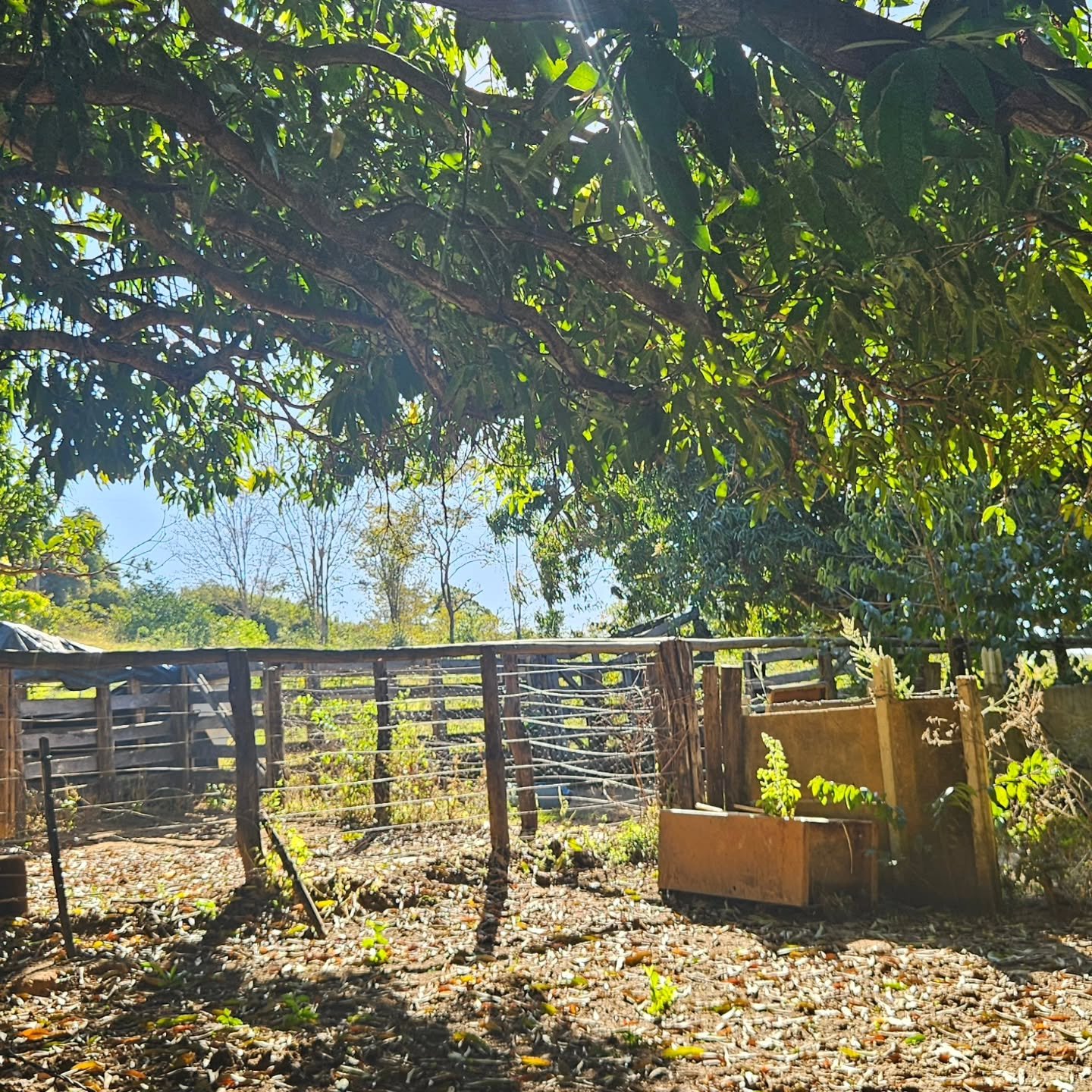 CHÁCARA À VENDA – CATALÃO/GO | Catalão-GO | 24,2 hectares - Catalão-GO