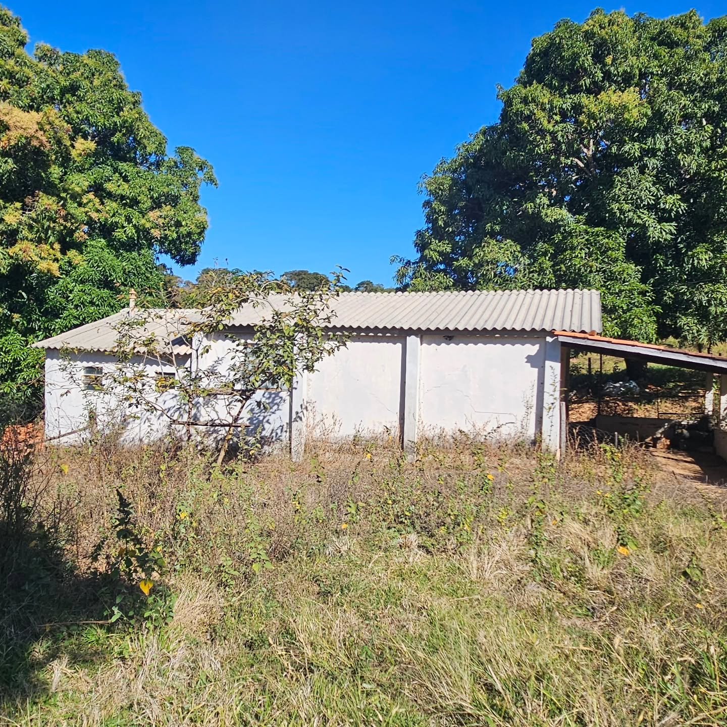 CHÁCARA À VENDA – CATALÃO/GO | Catalão-GO | 24,2 hectares - Catalão-GO
