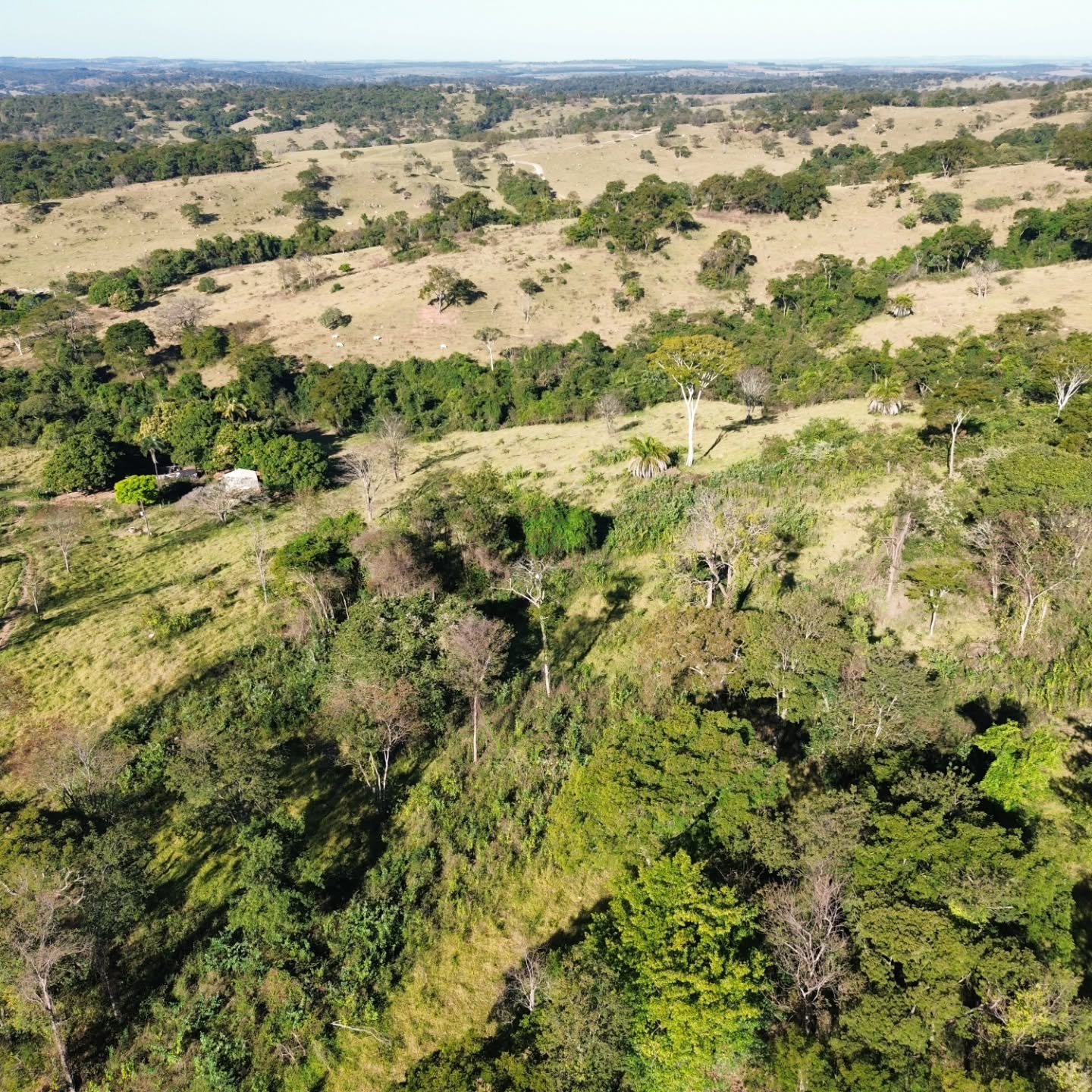 CHÁCARA À VENDA – CATALÃO/GO | Catalão-GO | 24,2 hectares - Catalão-GO