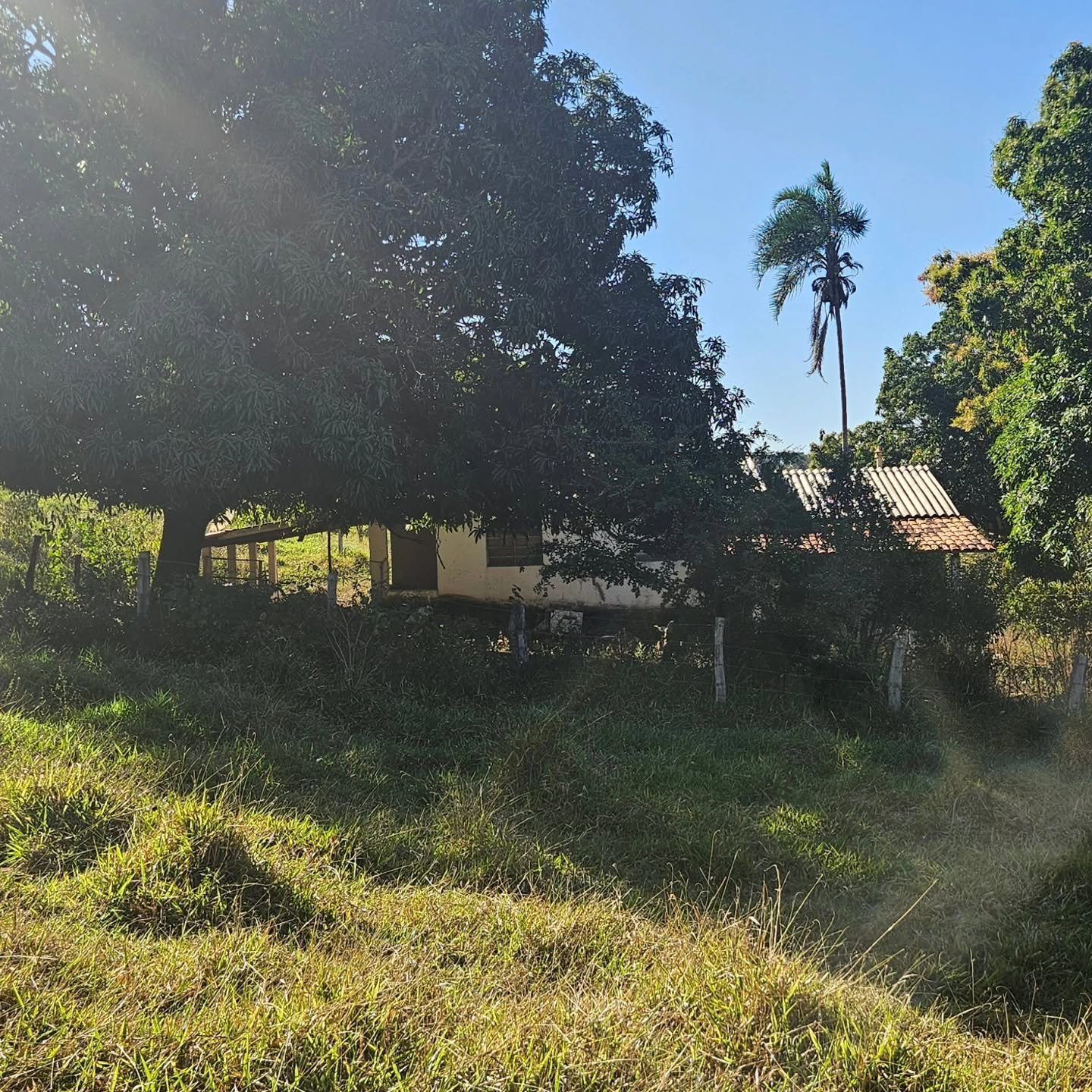 CHÁCARA À VENDA – CATALÃO/GO | Catalão-GO | 24,2 hectares - Catalão-GO