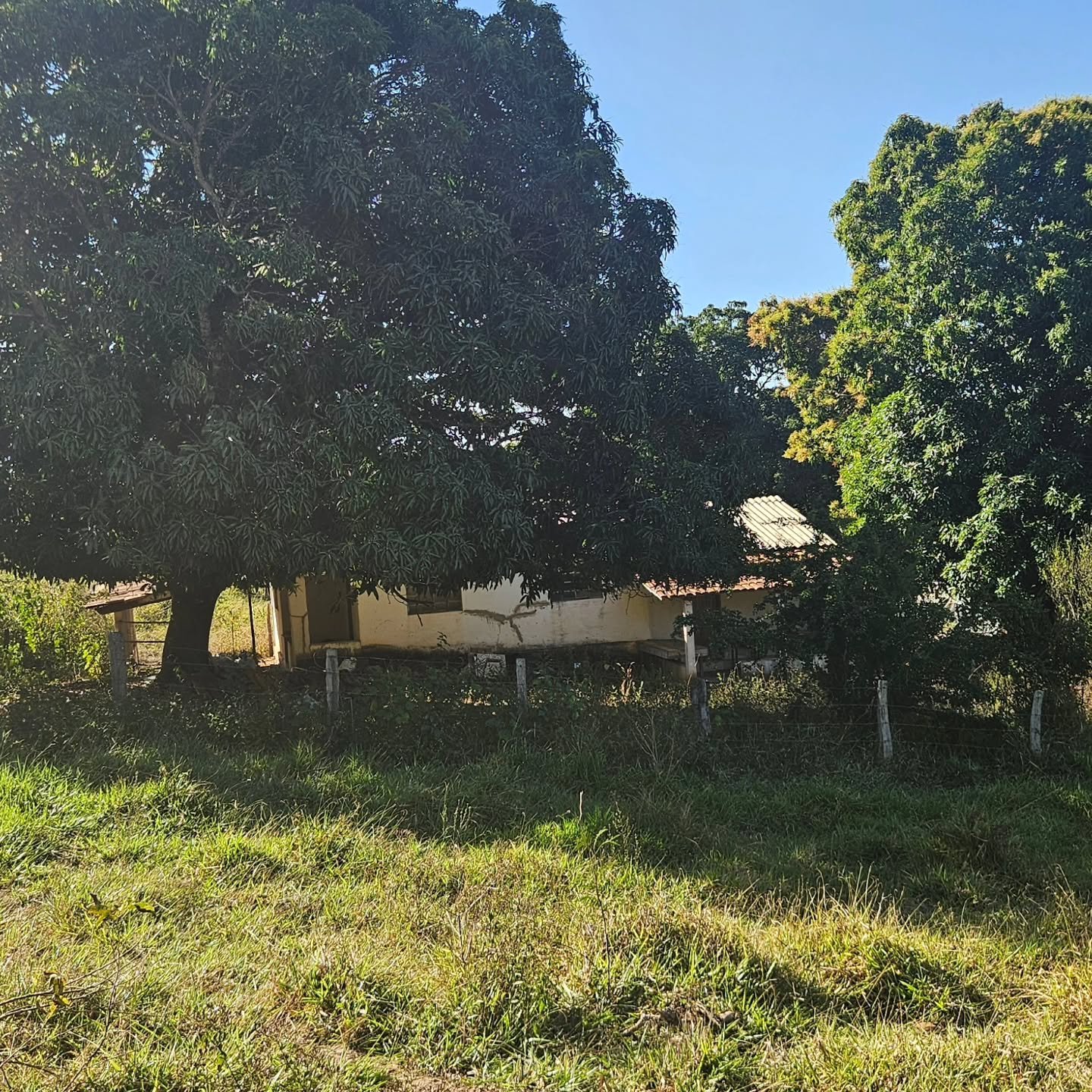 CHÁCARA À VENDA – CATALÃO/GO | Catalão-GO | 24,2 hectares - Catalão-GO