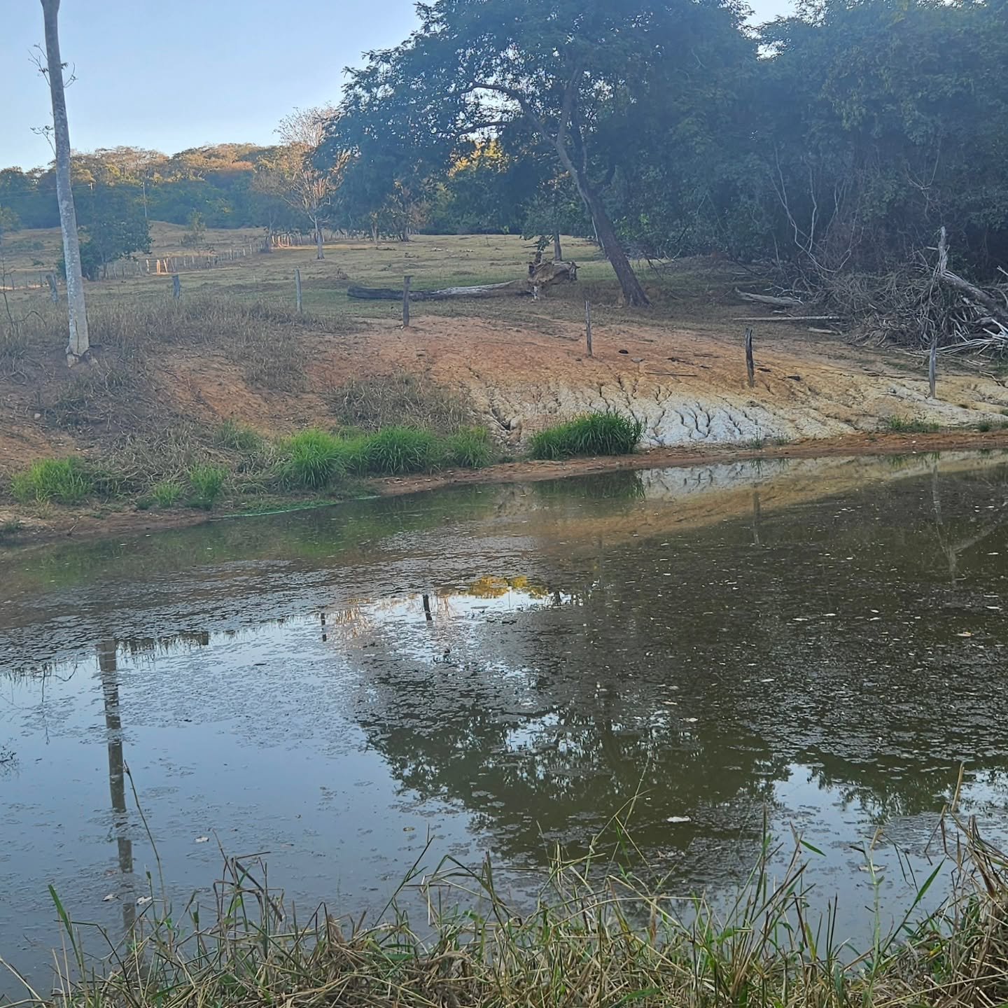 CHÁCARA À VENDA | REGIÃO DA CUSTÓDIA – CATALÃO/GO | Catalão-GO | 12,1 hectares - Catalão-GO