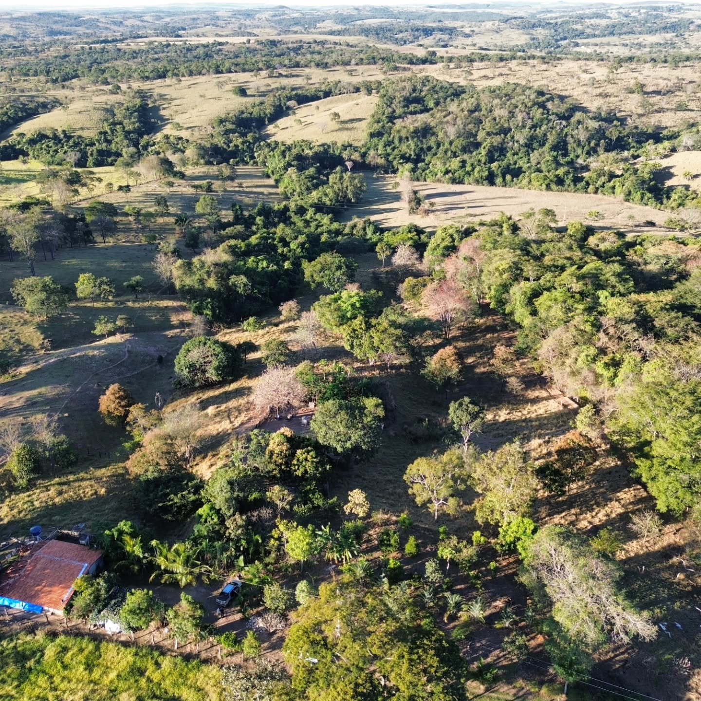 CHÁCARA À VENDA | REGIÃO DA CUSTÓDIA – CATALÃO/GO | Catalão-GO | 12,1 hectares - Catalão-GO