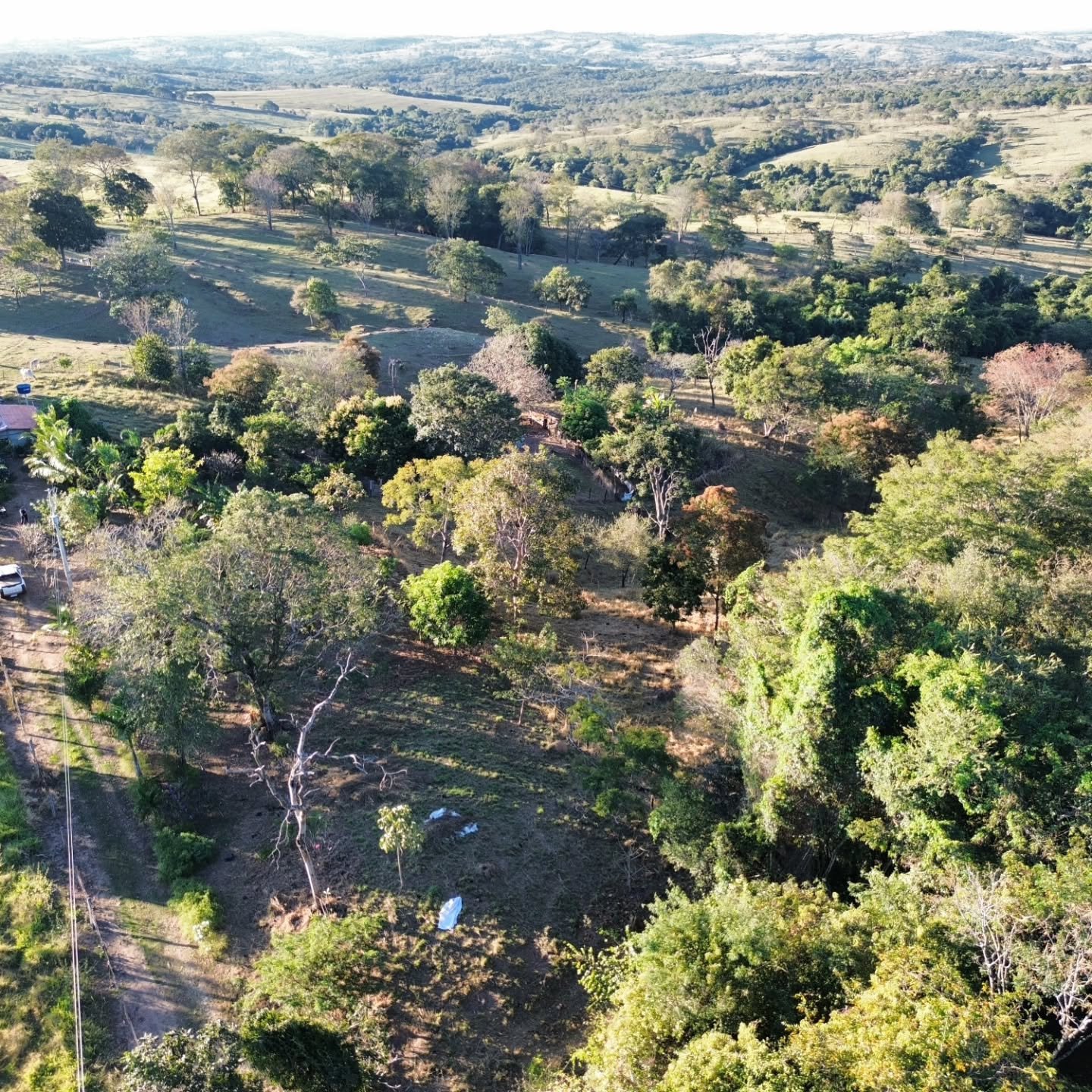 CHÁCARA À VENDA | REGIÃO DA CUSTÓDIA – CATALÃO/GO | Catalão-GO | 12,1 hectares - Catalão-GO