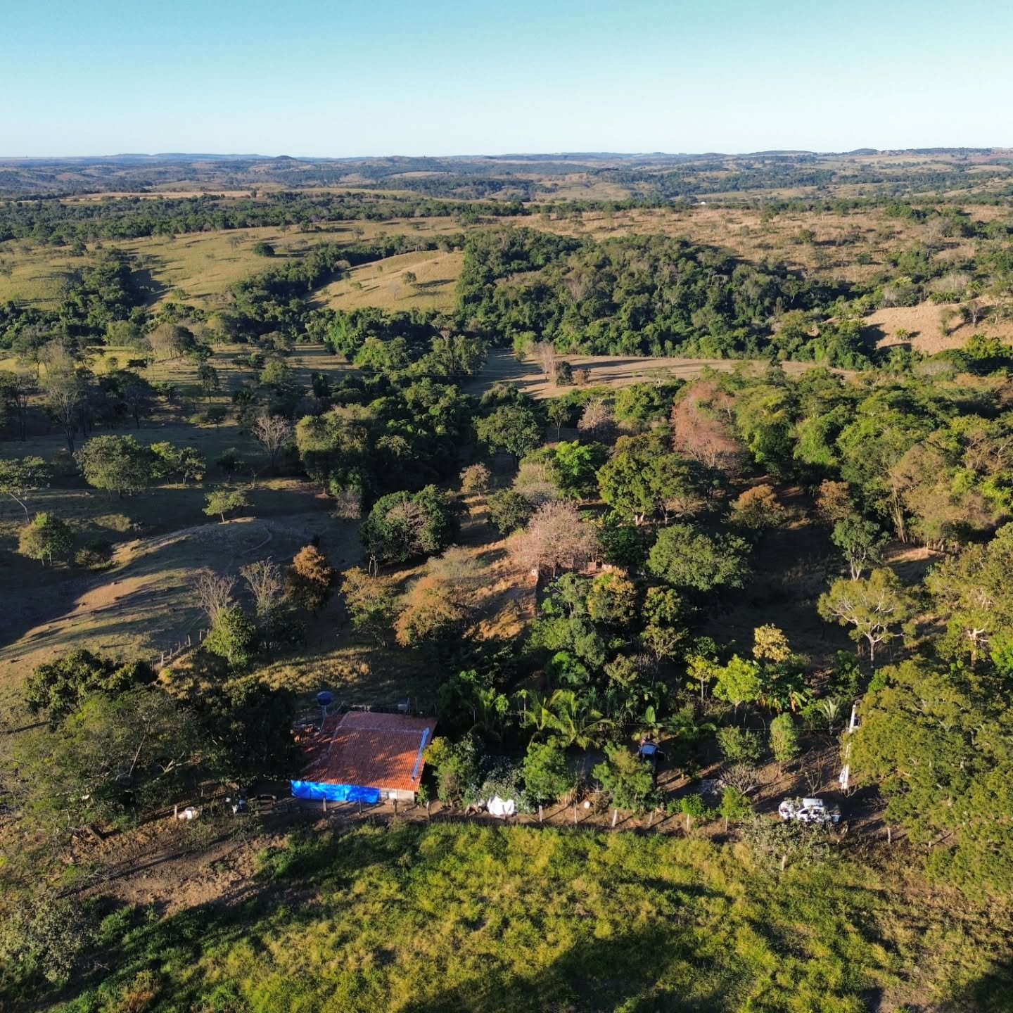 CHÁCARA À VENDA | REGIÃO DA CUSTÓDIA – CATALÃO/GO | Catalão-GO | 12,1 hectares - Catalão-GO