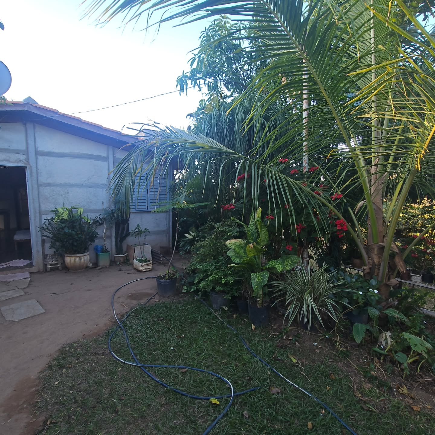 CHÁCARA À VENDA | REGIÃO DA CUSTÓDIA – CATALÃO/GO | Catalão-GO | 12,1 hectares - Catalão-GO