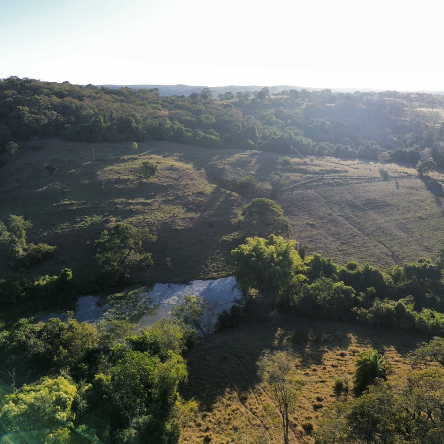 CHÁCARA À VENDA | REGIÃO DA CUSTÓDIA – CATALÃO/GO | Catalão-GO | 12,1 hectares - Catalão-GO