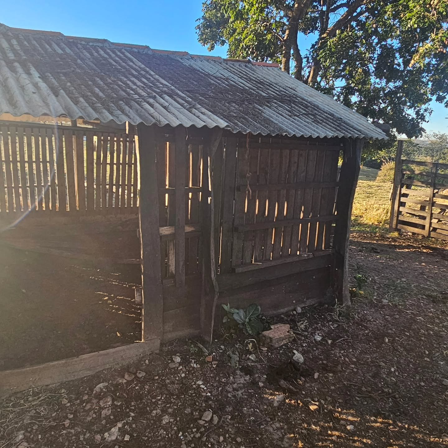 CHÁCARA À VENDA | REGIÃO DA CUSTÓDIA – CATALÃO/GO | Catalão-GO | 12,1 hectares - Catalão-GO