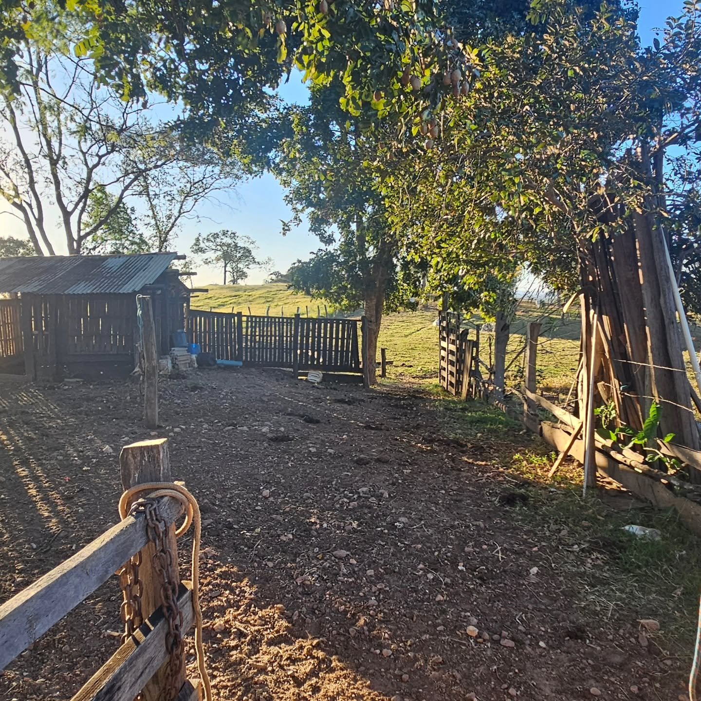 CHÁCARA À VENDA | REGIÃO DA CUSTÓDIA – CATALÃO/GO | Catalão-GO | 12,1 hectares - Catalão-GO