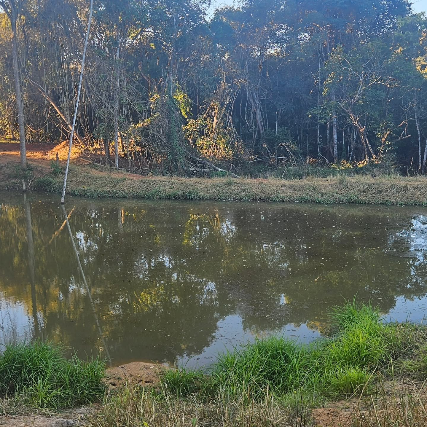 CHÁCARA À VENDA | REGIÃO DA CUSTÓDIA – CATALÃO/GO | Catalão-GO | 12,1 hectares - Catalão-GO