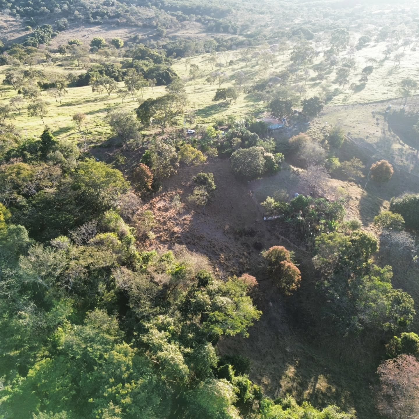 CHÁCARA À VENDA | REGIÃO DA CUSTÓDIA – CATALÃO/GO | Catalão-GO | 12,1 hectares - Catalão-GO