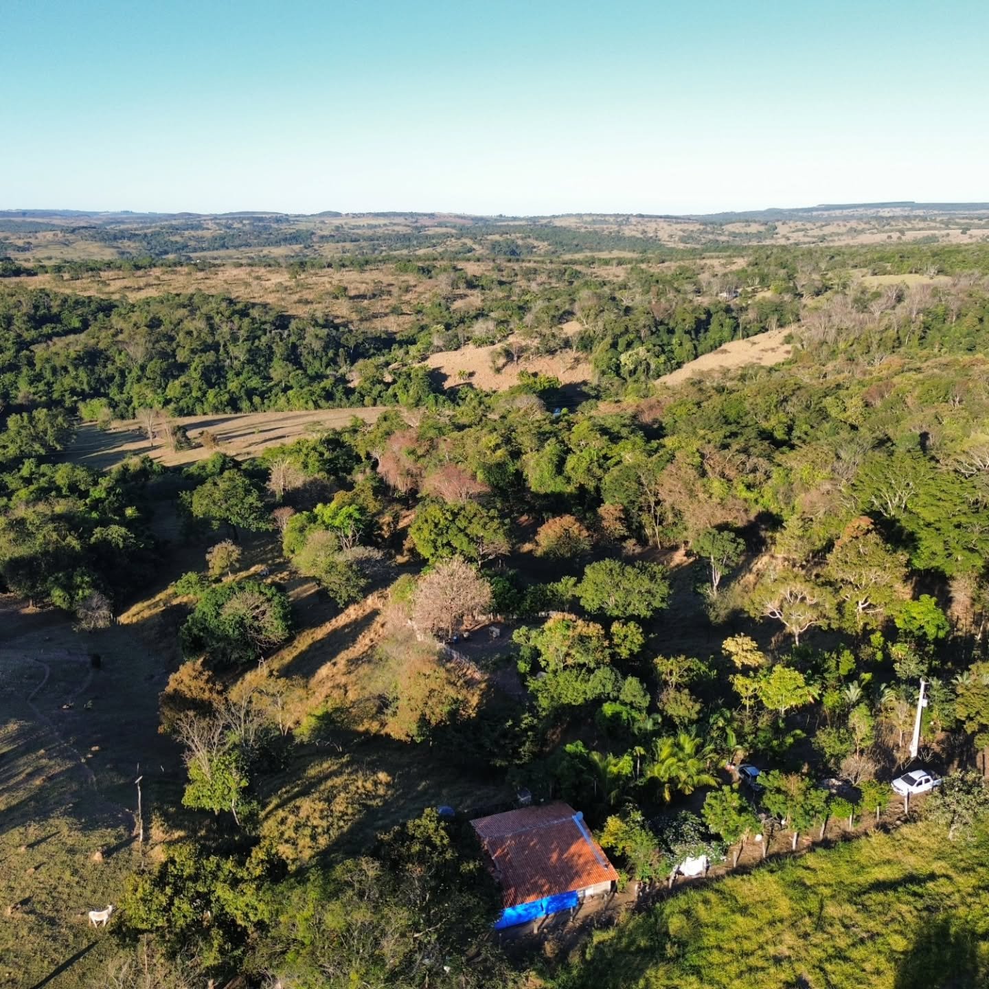 CHÁCARA À VENDA | REGIÃO DA CUSTÓDIA – CATALÃO/GO | Catalão-GO | 12,1 hectares - Catalão-GO