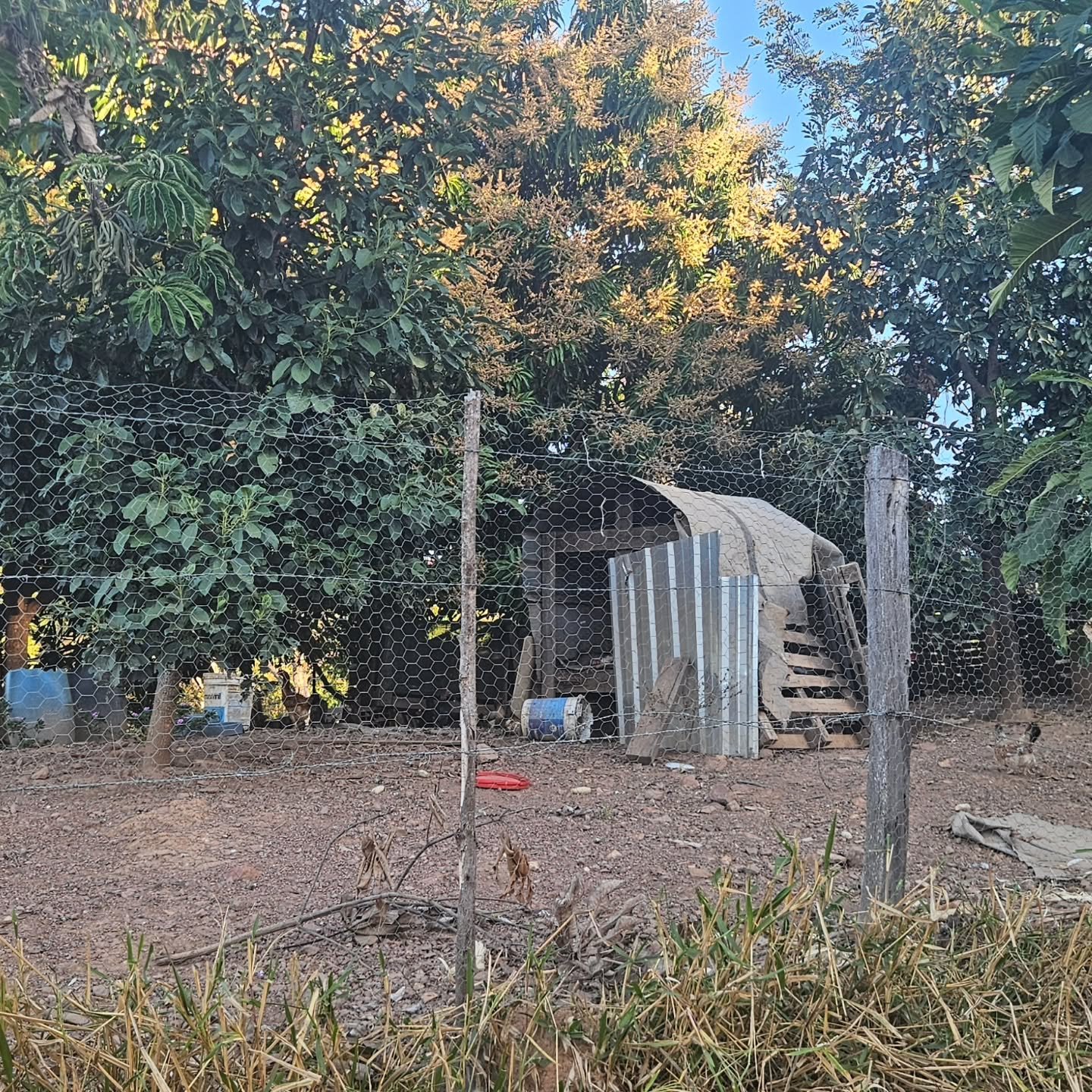 CHÁCARA À VENDA | REGIÃO DA CUSTÓDIA – CATALÃO/GO | Catalão-GO | 12,1 hectares - Catalão-GO