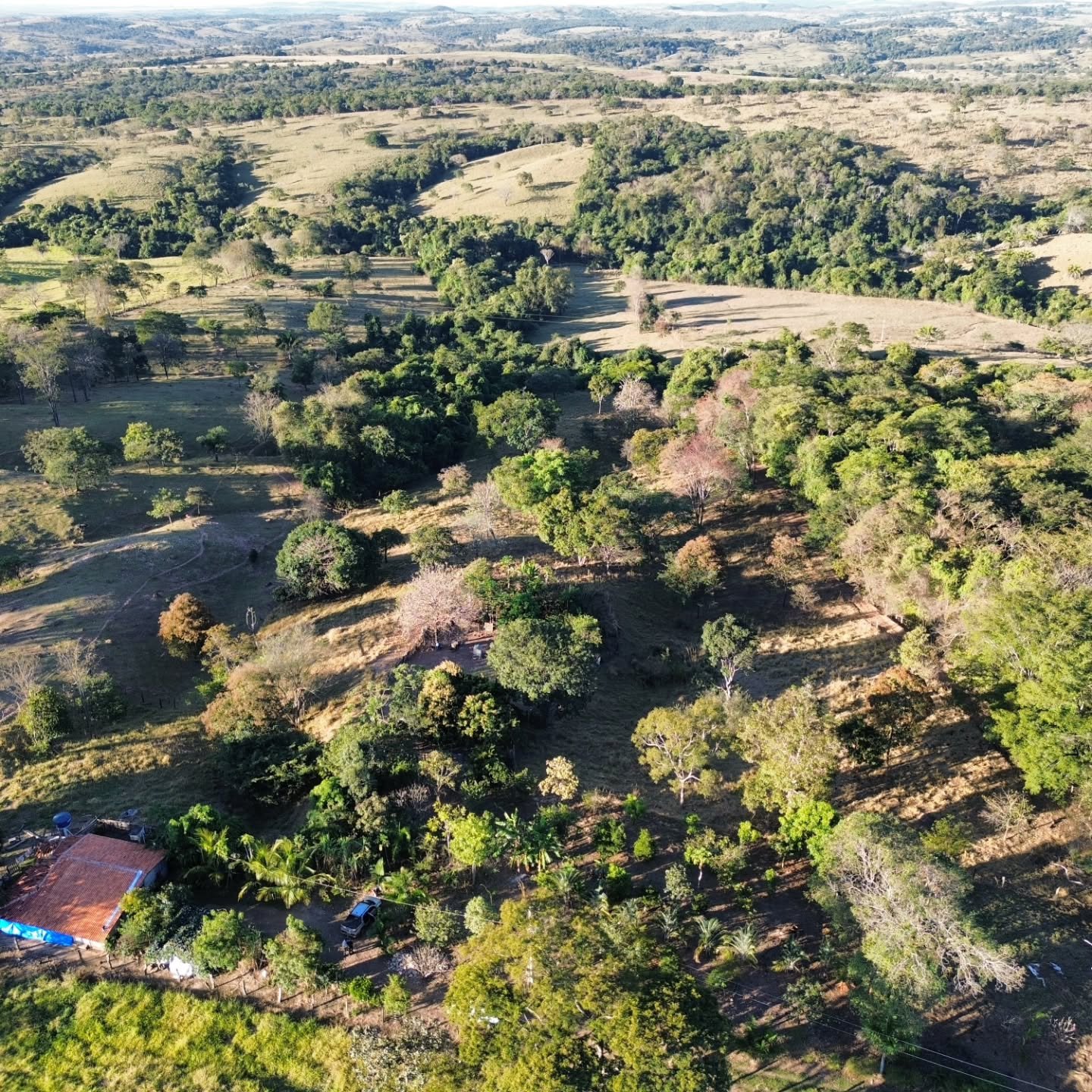CHÁCARA À VENDA | REGIÃO DA CUSTÓDIA – CATALÃO/GO | Catalão-GO | 12,1 hectares - Catalão-GO