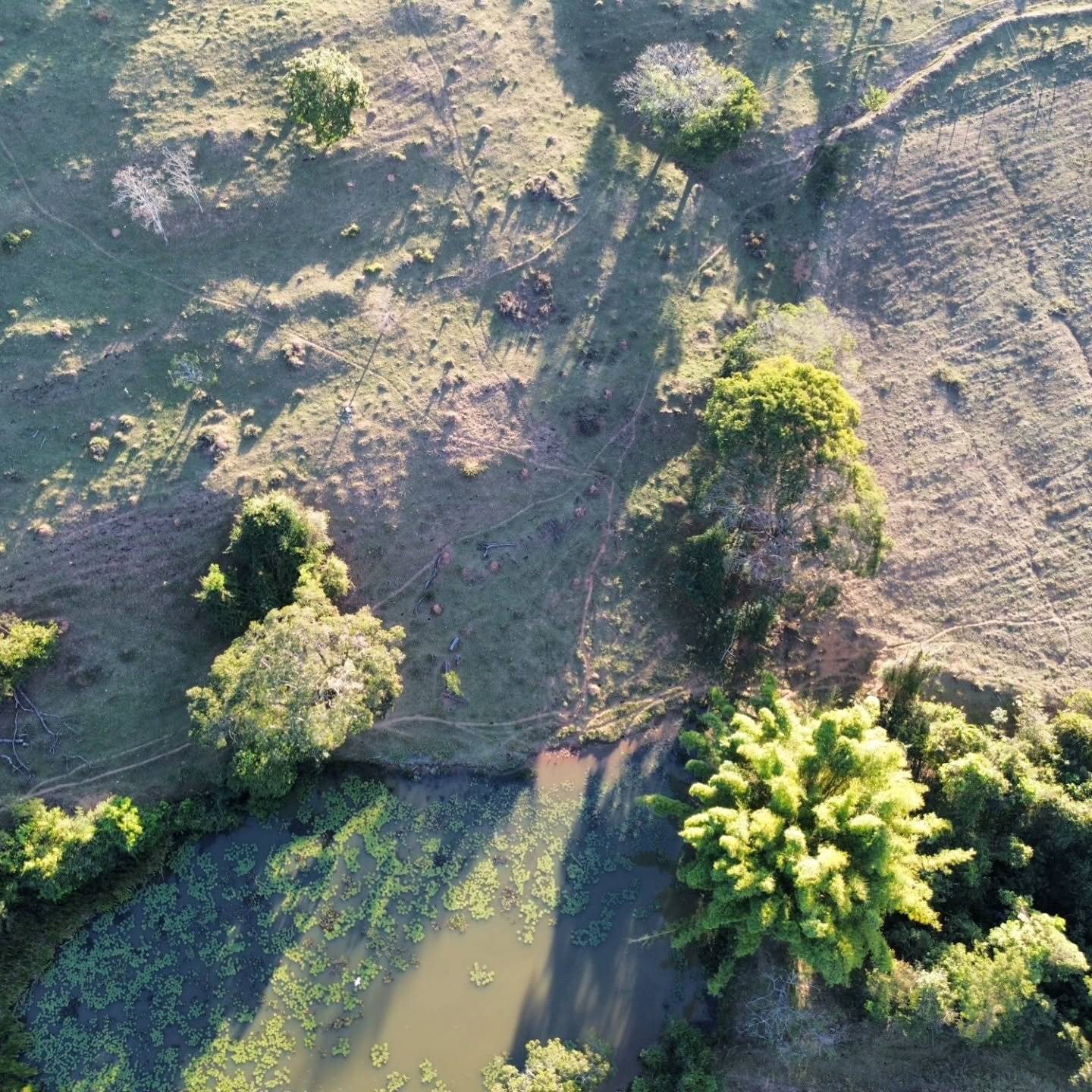 CHÁCARA À VENDA | REGIÃO DA CUSTÓDIA – CATALÃO/GO | Catalão-GO | 12,1 hectares - Catalão-GO