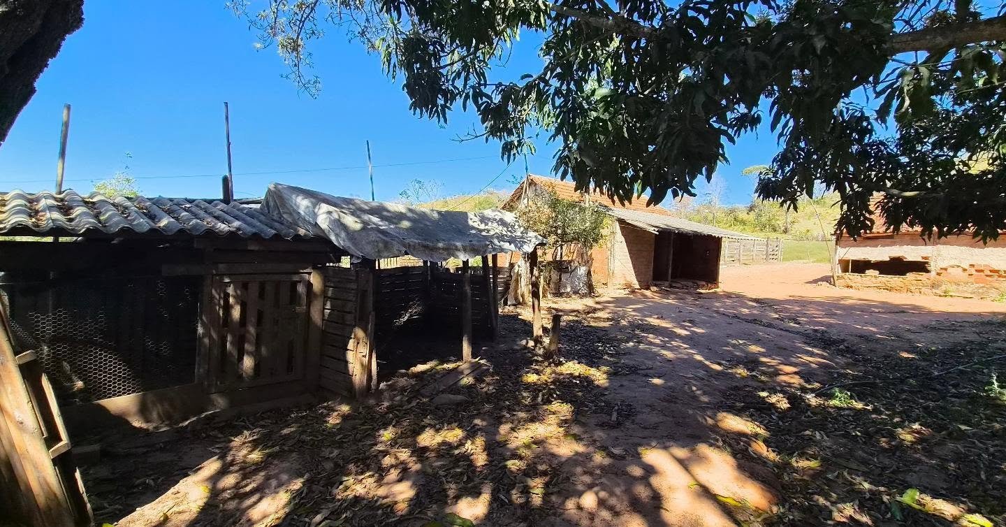 fazenda à venda | oportunidade para pecuária e investimento rural | 62,92 hectares