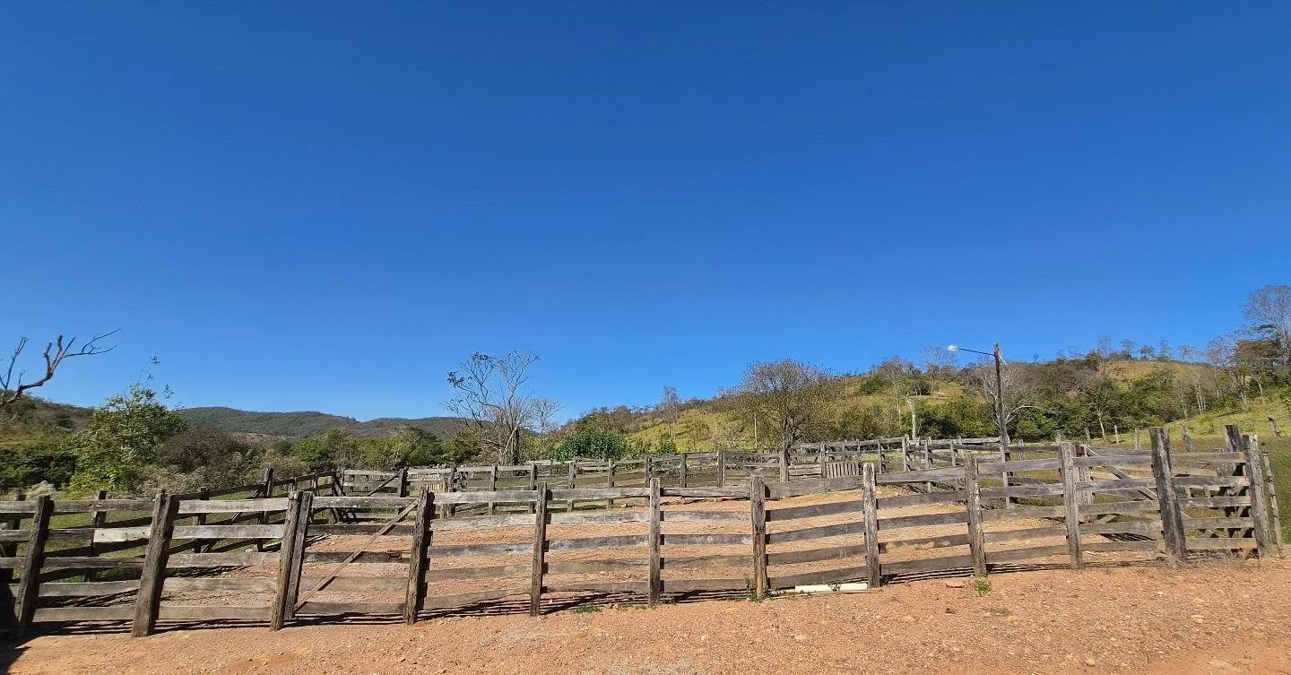 fazenda à venda | oportunidade para pecuária e investimento rural | 62,92 hectares