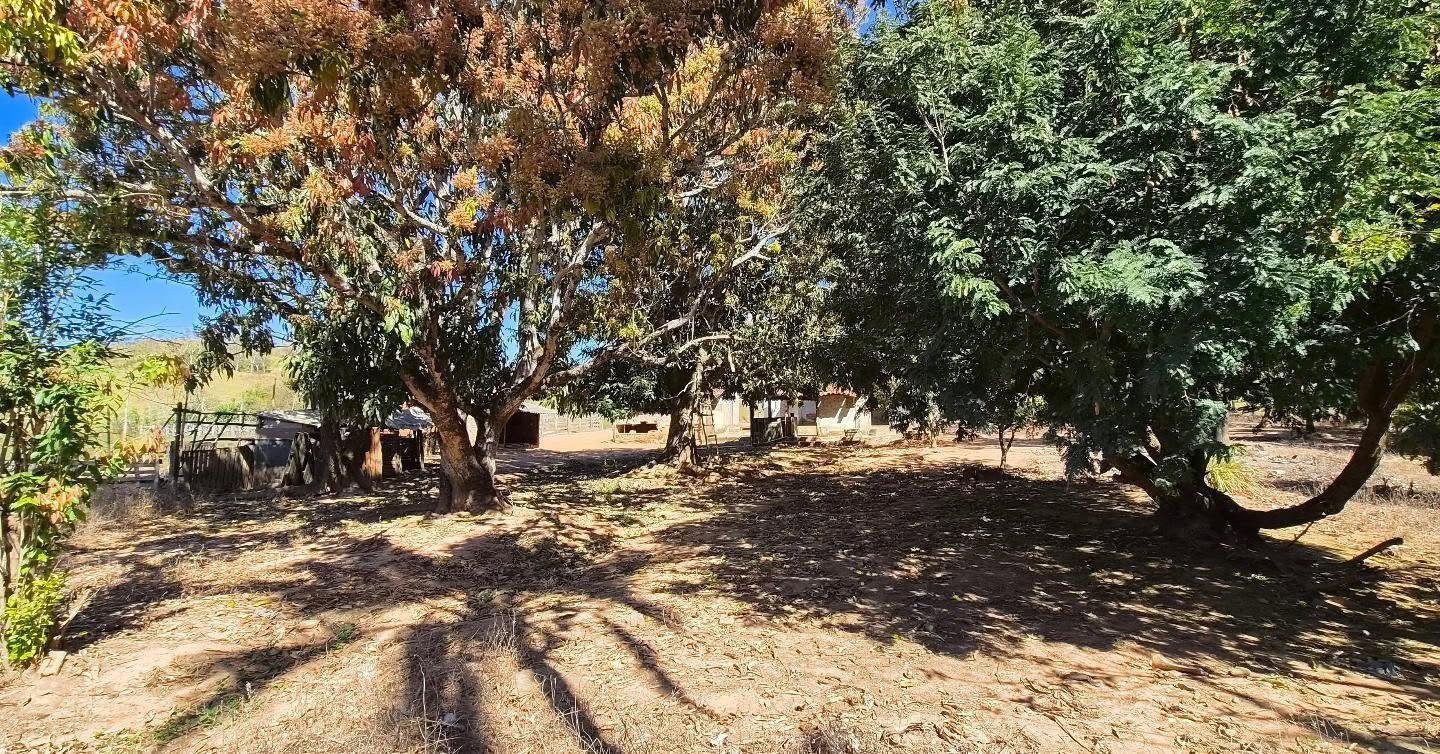 fazenda à venda | oportunidade para pecuária e investimento rural | 62,92 hectares