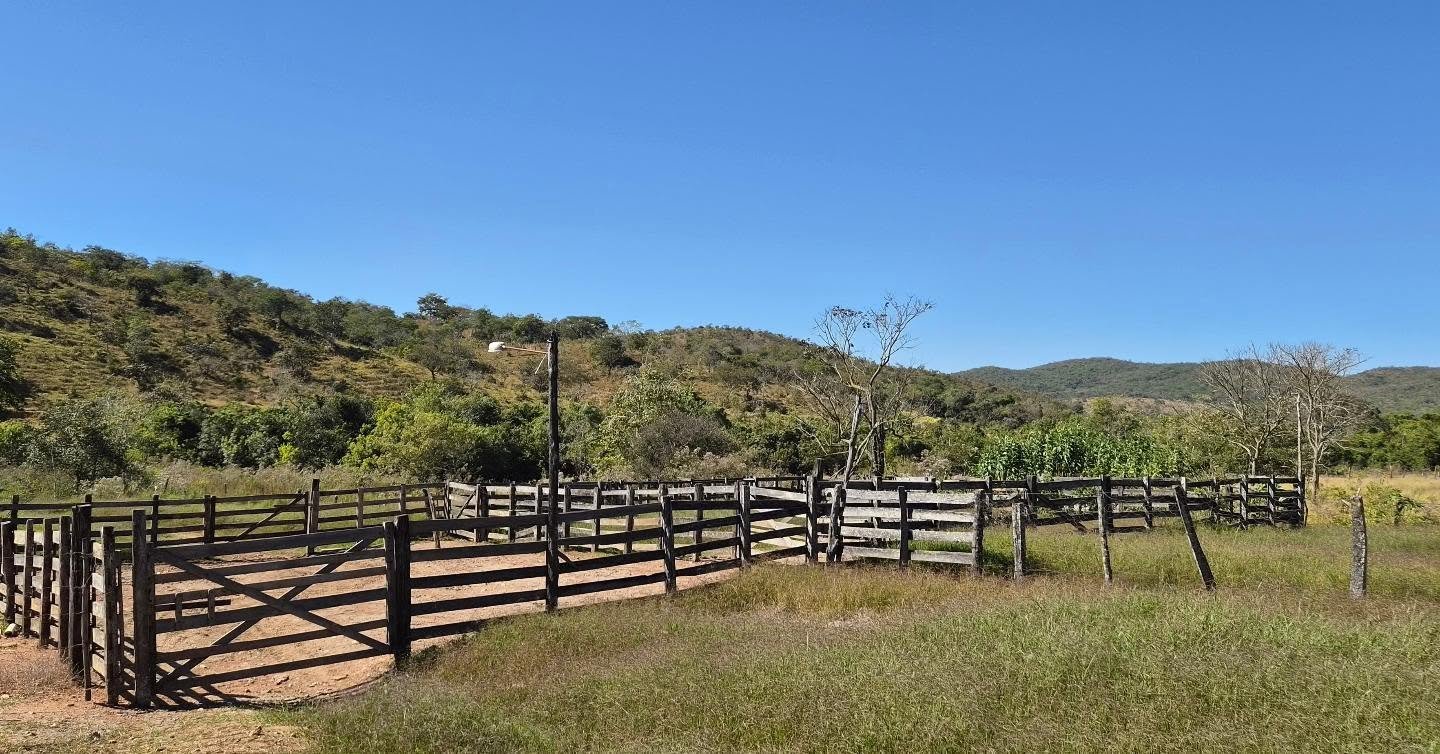 fazenda à venda | oportunidade para pecuária e investimento rural | 62,92 hectares