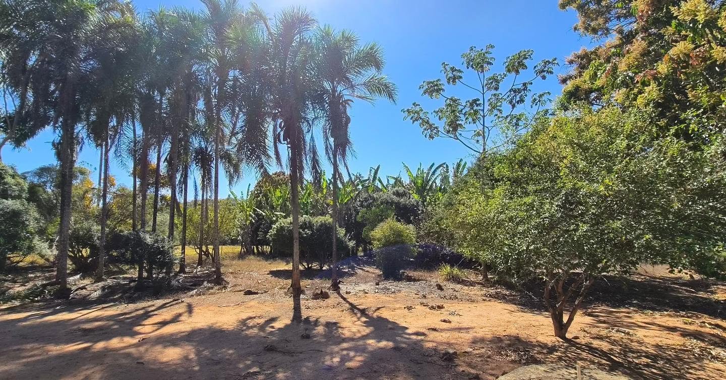 fazenda à venda | oportunidade para pecuária e investimento rural | 62,92 hectares