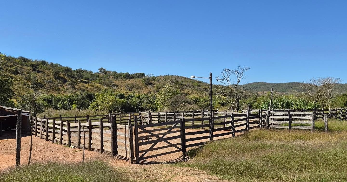fazenda à venda | oportunidade para pecuária e investimento rural | 62,92 hectares