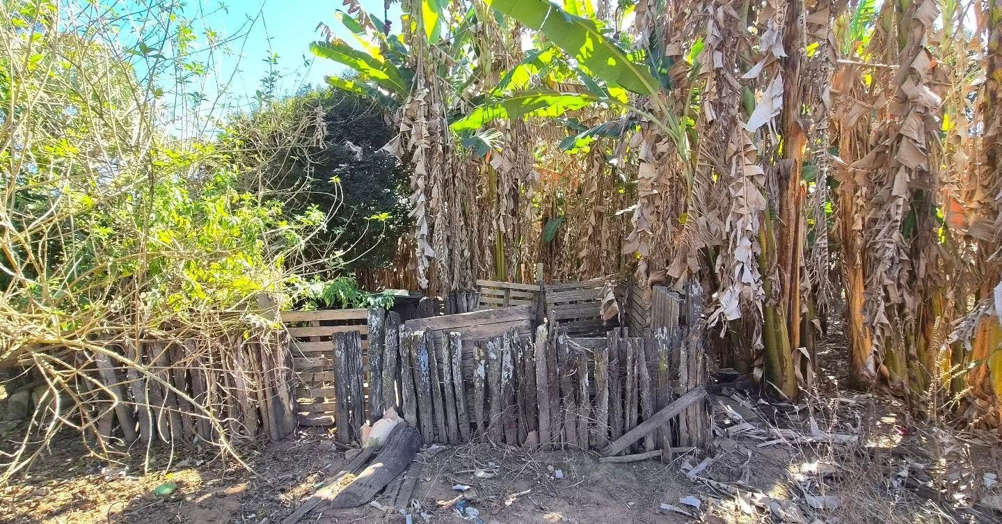 fazenda à venda | oportunidade para pecuária e investimento rural | 62,92 hectares