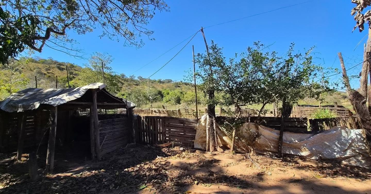 fazenda à venda | oportunidade para pecuária e investimento rural | 62,92 hectares