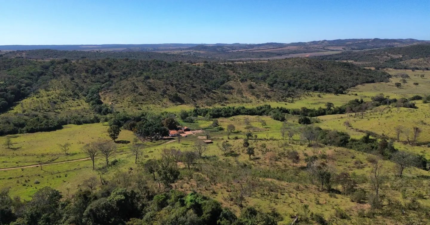 fazenda à venda | oportunidade para pecuária e investimento rural | 62,92 hectares