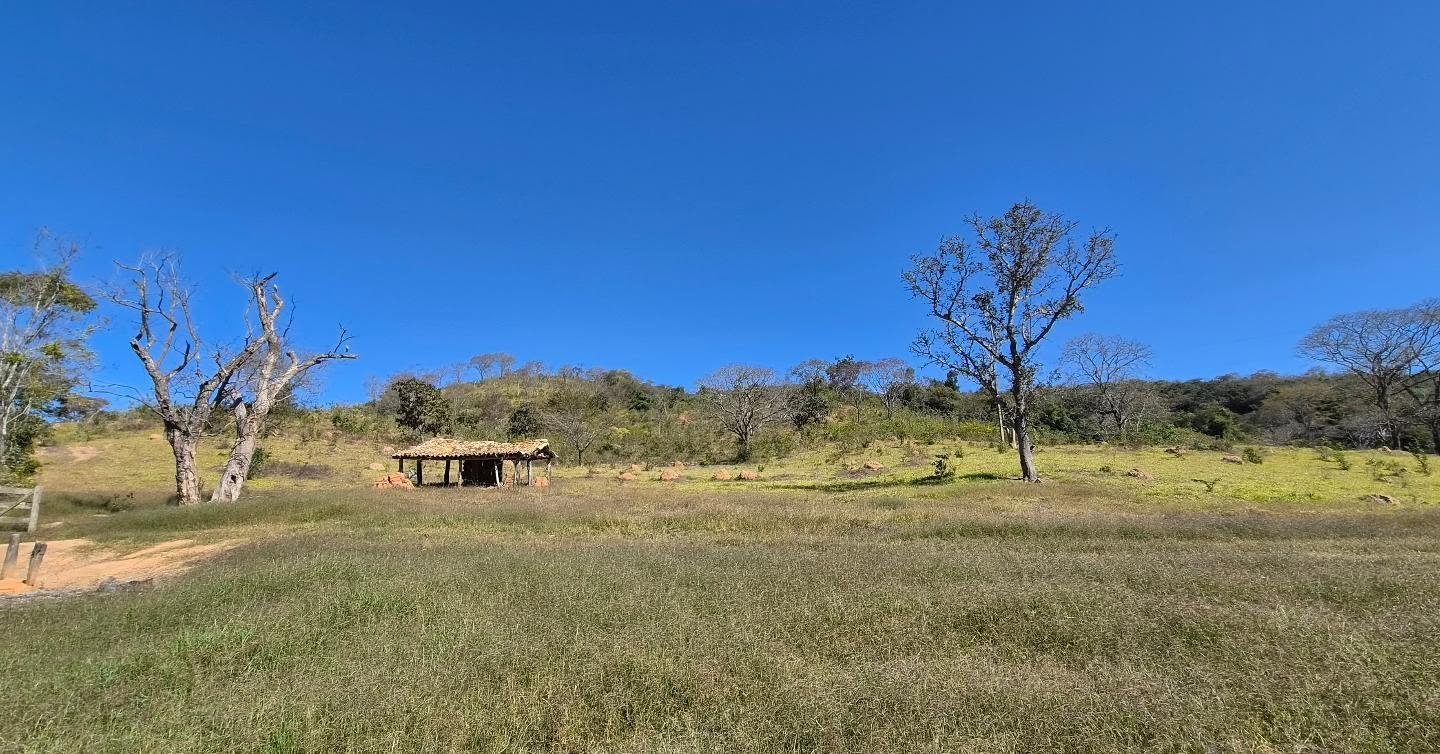 fazenda à venda | oportunidade para pecuária e investimento rural | 62,92 hectares