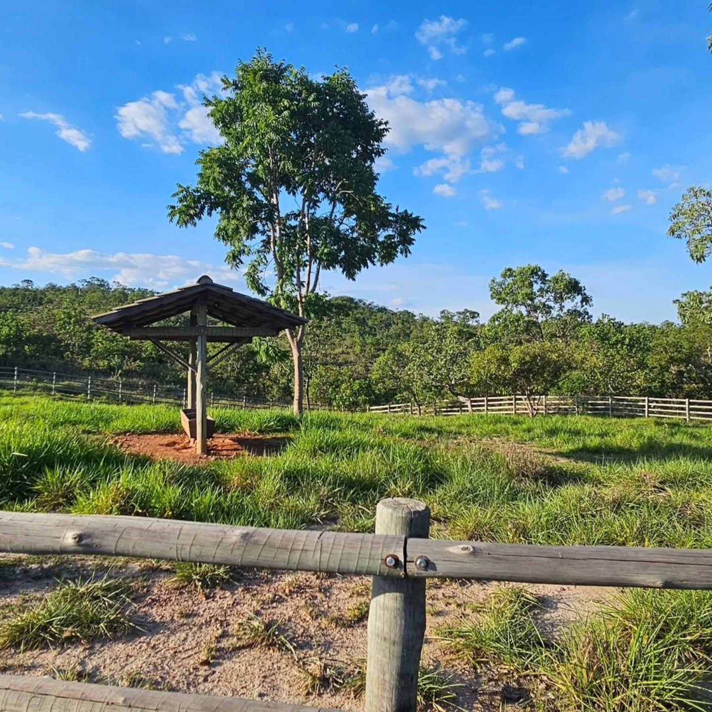 CHÁCARA À VENDA EM DAVINÓPOLIS-GO | 37,75 hectares - Davinópolis-GO