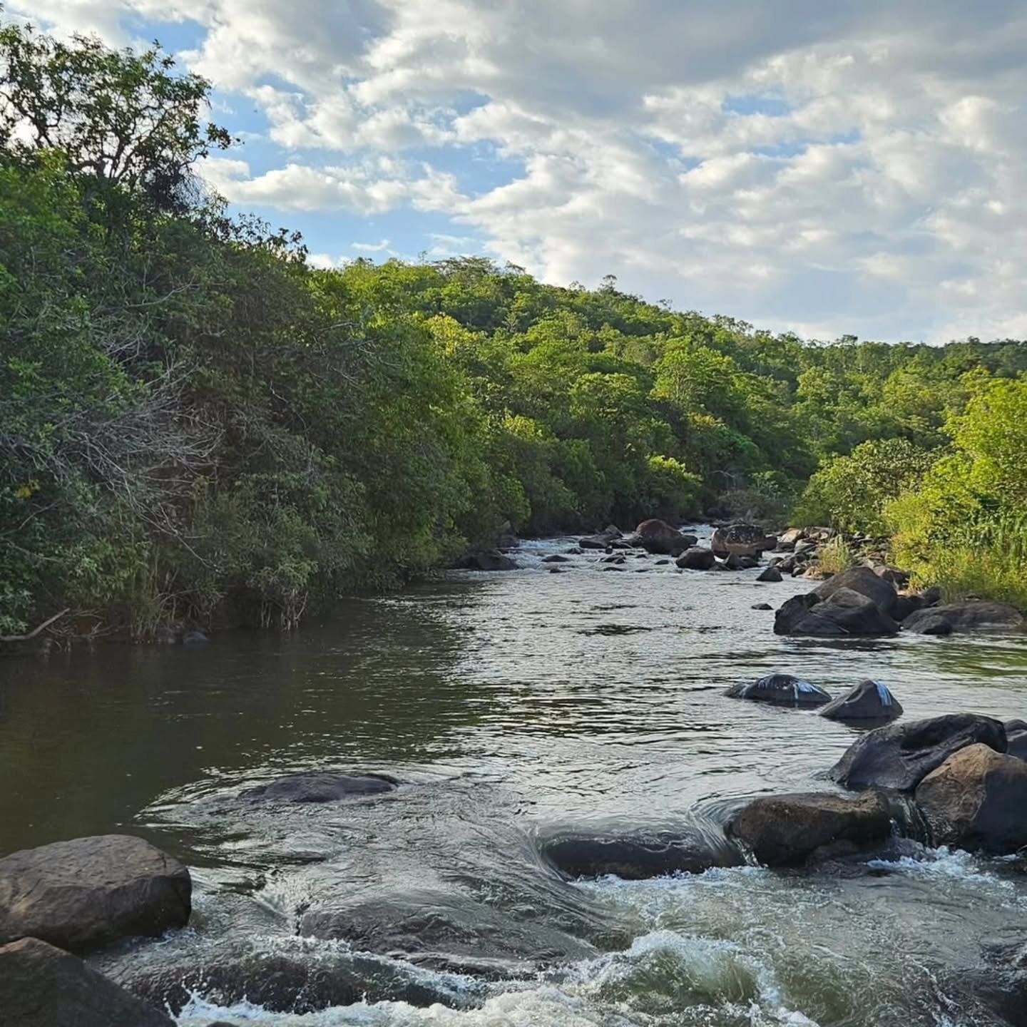 CHÁCARA À VENDA EM DAVINÓPOLIS-GO | 37,75 hectares - Davinópolis-GO