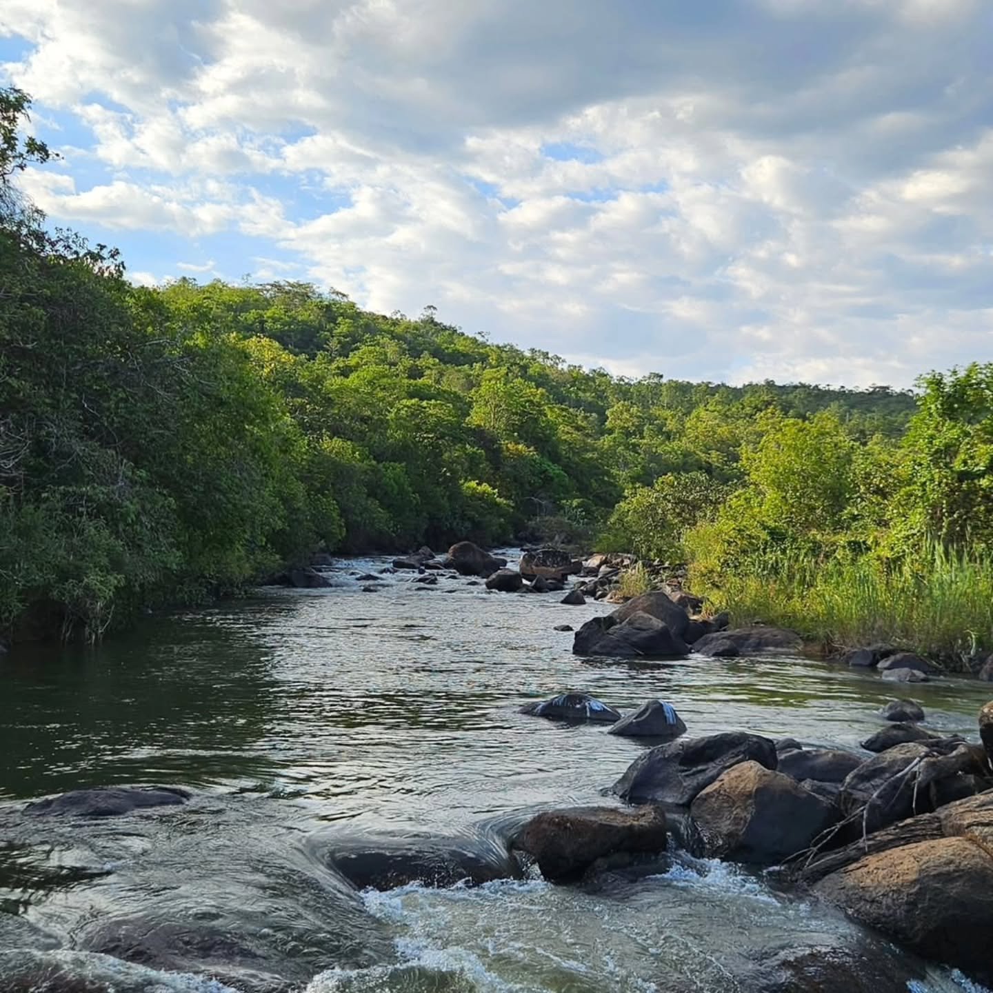 CHÁCARA À VENDA EM DAVINÓPOLIS-GO | 37,75 hectares - Davinópolis-GO