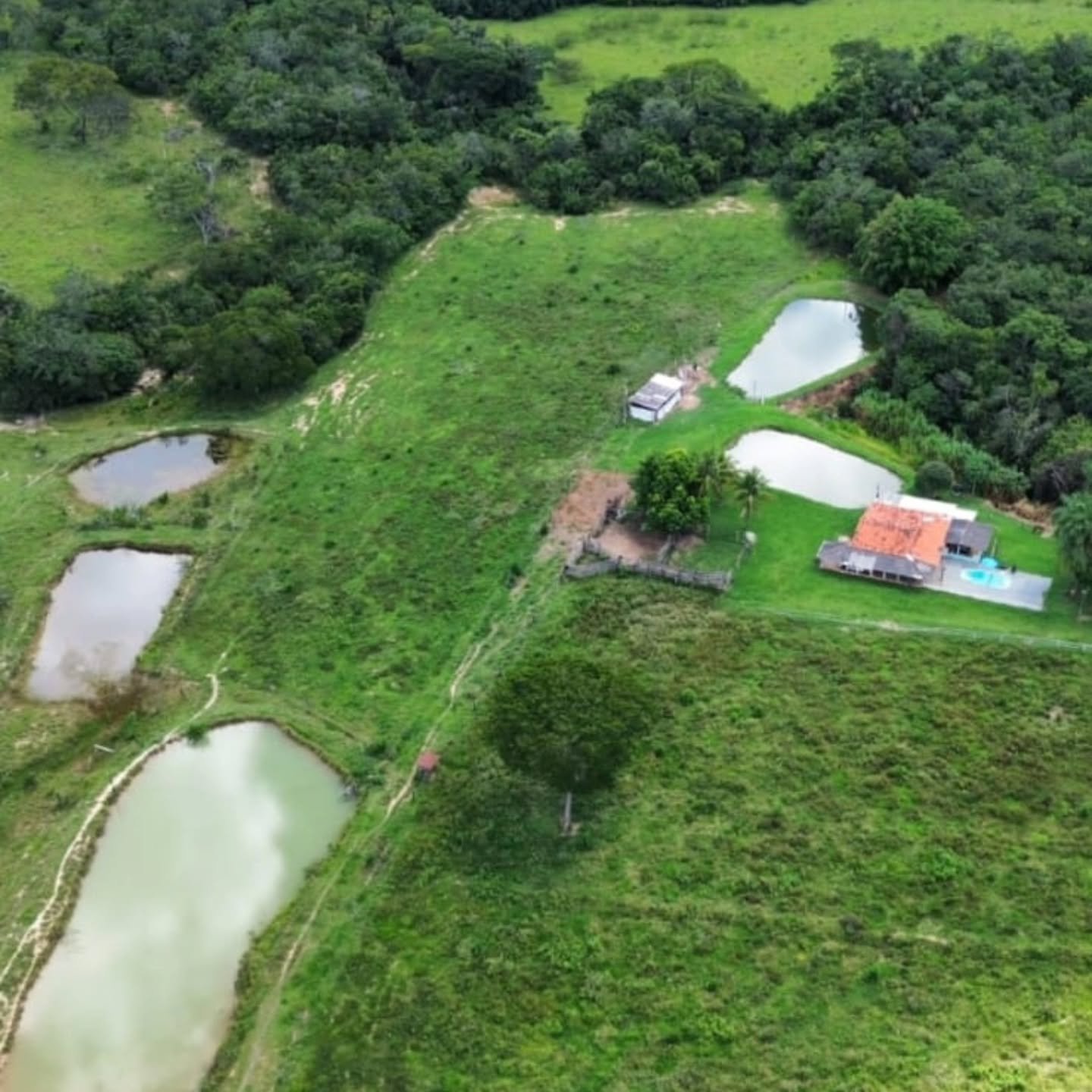 OPORTUNIDADE IMPERDÍVEL EM GOIANDIRA – GO | Goiandira-GO | 22 hectares - Goiandira-GO