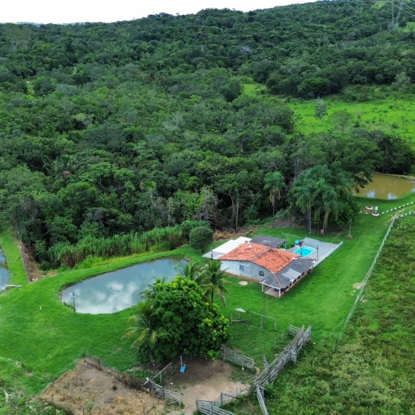 OPORTUNIDADE IMPERDÍVEL EM GOIANDIRA – GO | Goiandira-GO | 22 hectares - Goiandira-GO
