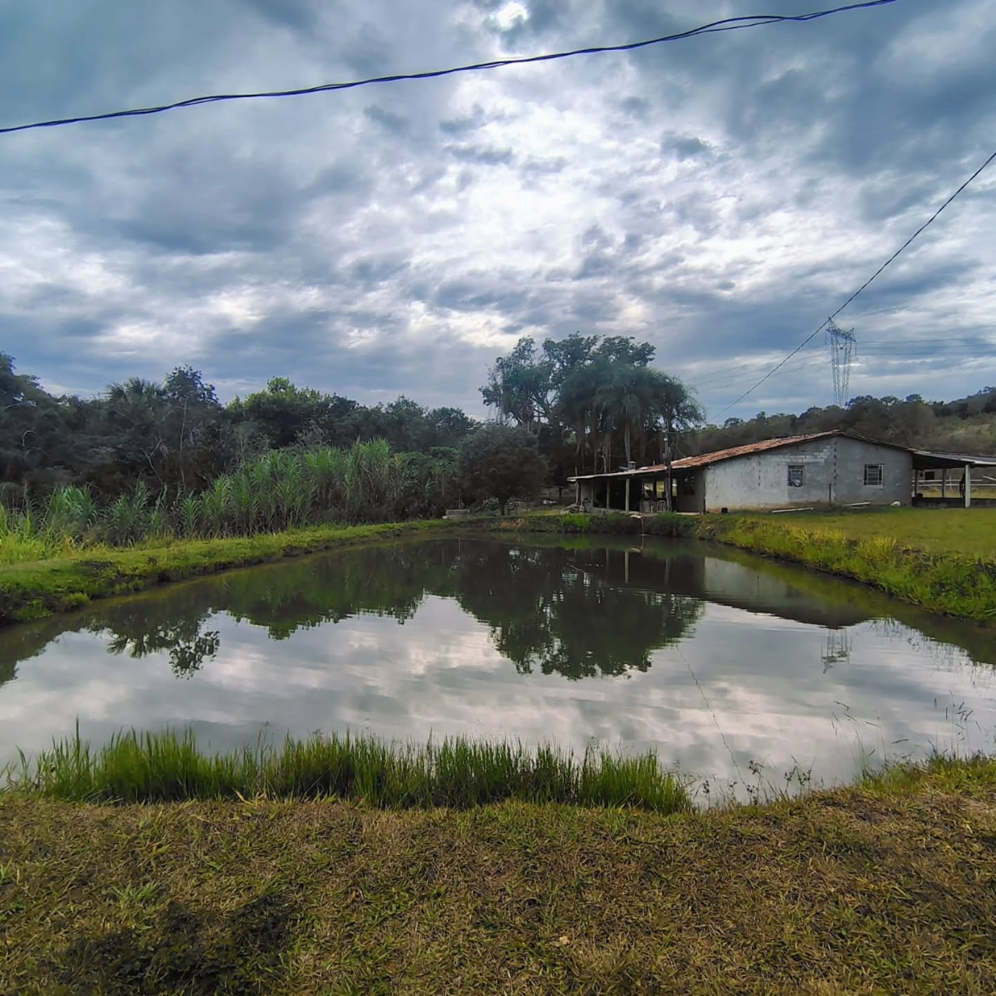 OPORTUNIDADE IMPERDÍVEL EM GOIANDIRA – GO | Goiandira-GO | 22 hectares - Goiandira-GO
