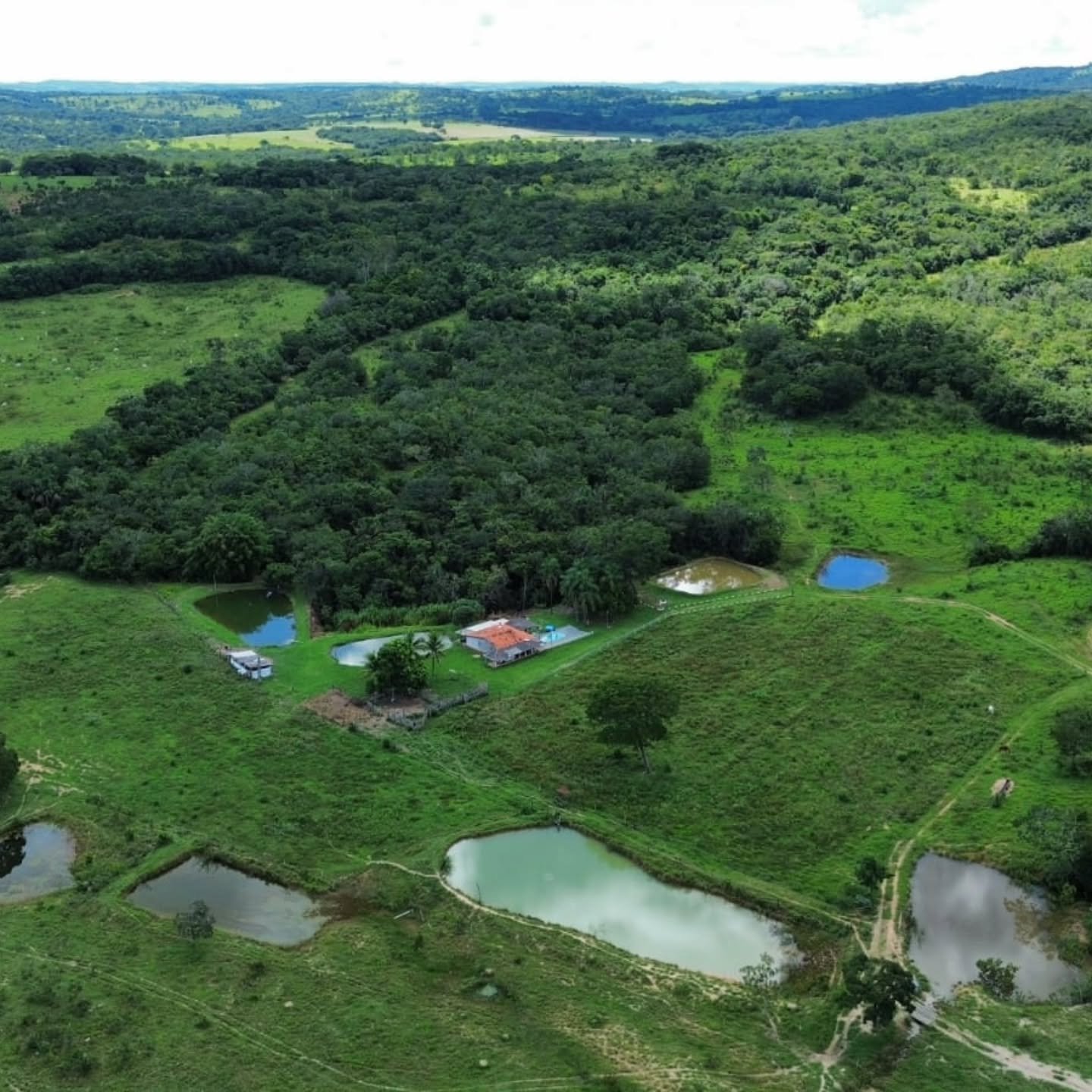 OPORTUNIDADE IMPERDÍVEL EM GOIANDIRA – GO | Goiandira-GO | 22 hectares - Goiandira-GO