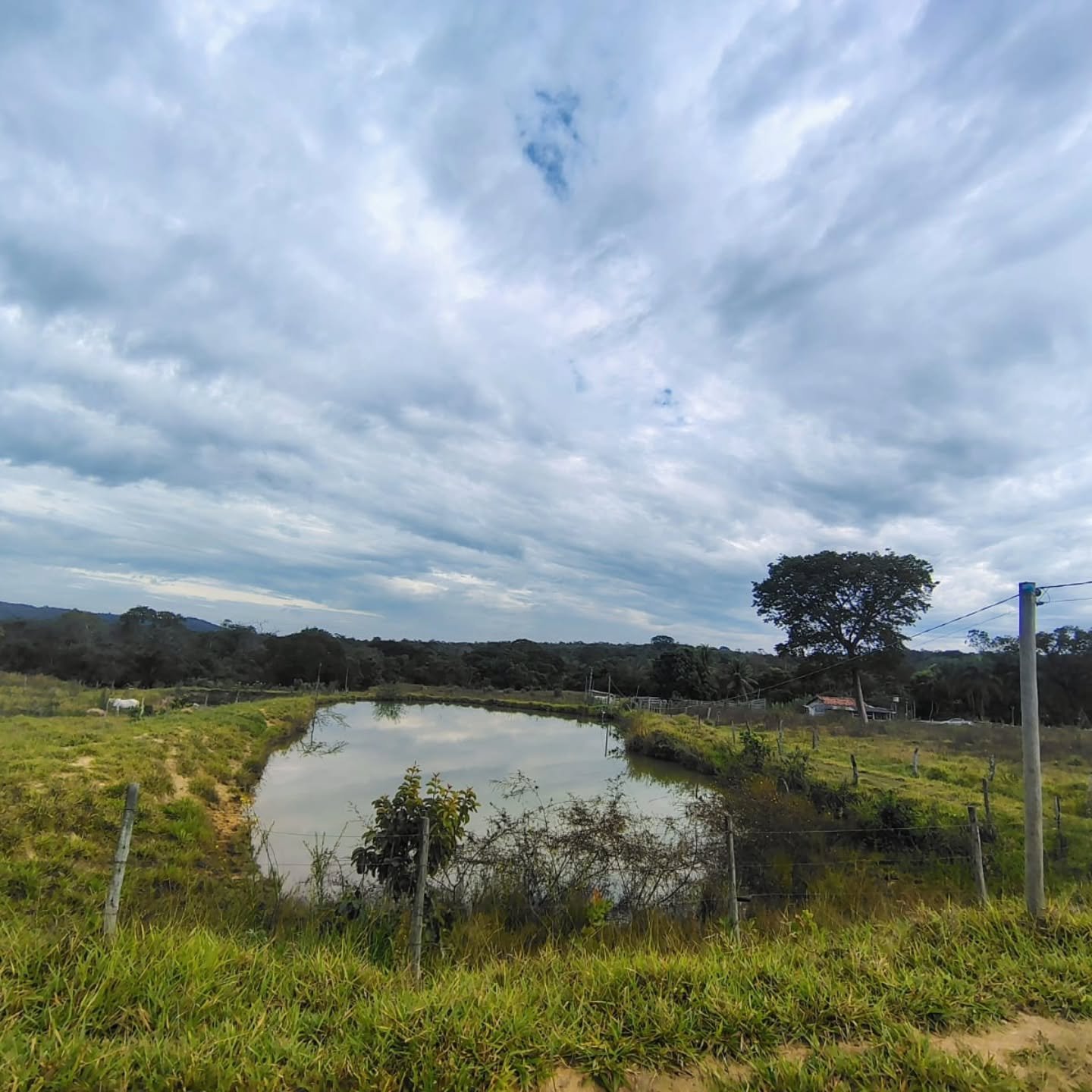 OPORTUNIDADE IMPERDÍVEL EM GOIANDIRA – GO | Goiandira-GO | 22 hectares - Goiandira-GO