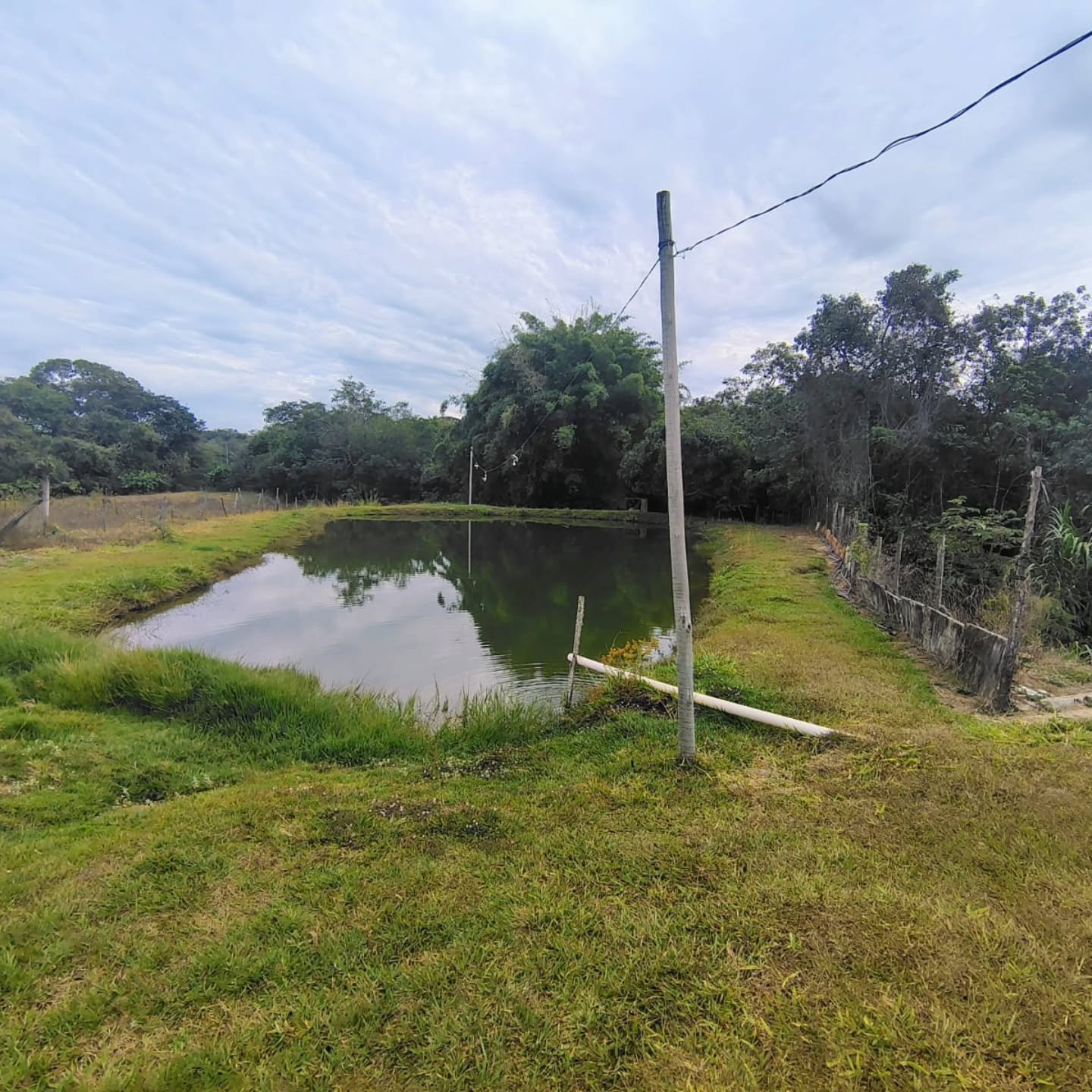 OPORTUNIDADE IMPERDÍVEL EM GOIANDIRA – GO | Goiandira-GO | 22 hectares - Goiandira-GO