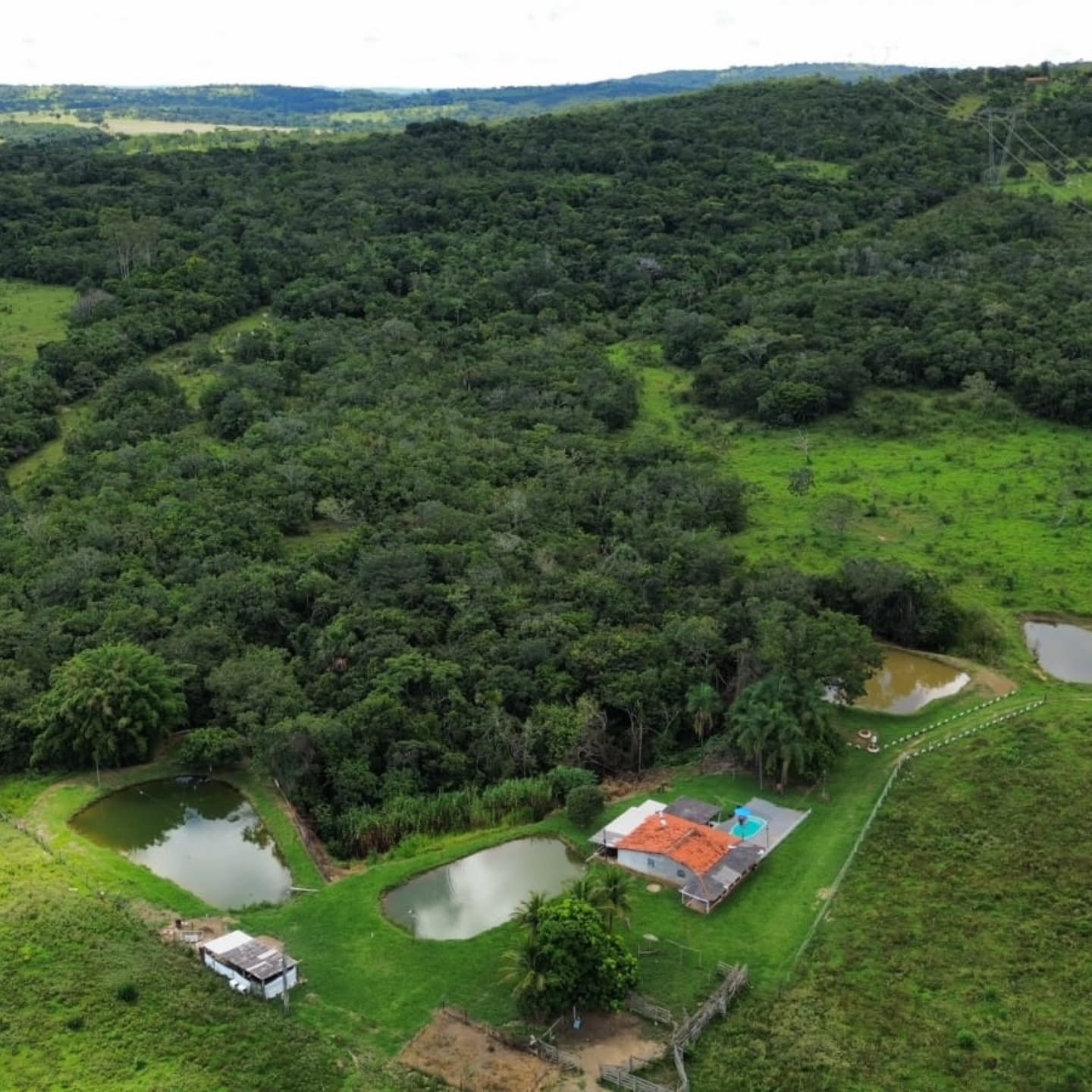 OPORTUNIDADE IMPERDÍVEL EM GOIANDIRA – GO | Goiandira-GO | 22 hectares - Goiandira-GO
